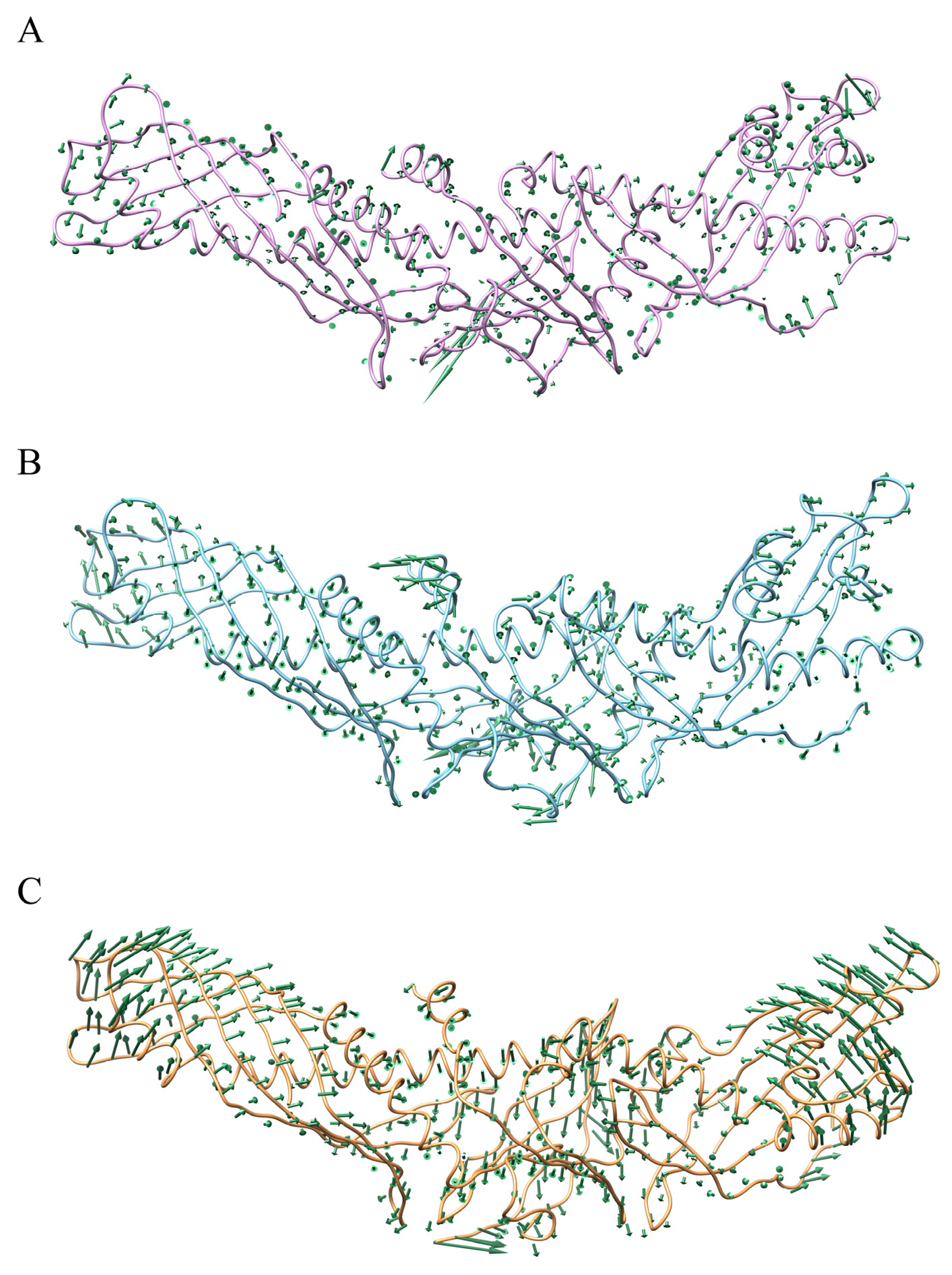 Ijms 24 12252 g007 Ijms 24 12252 g007