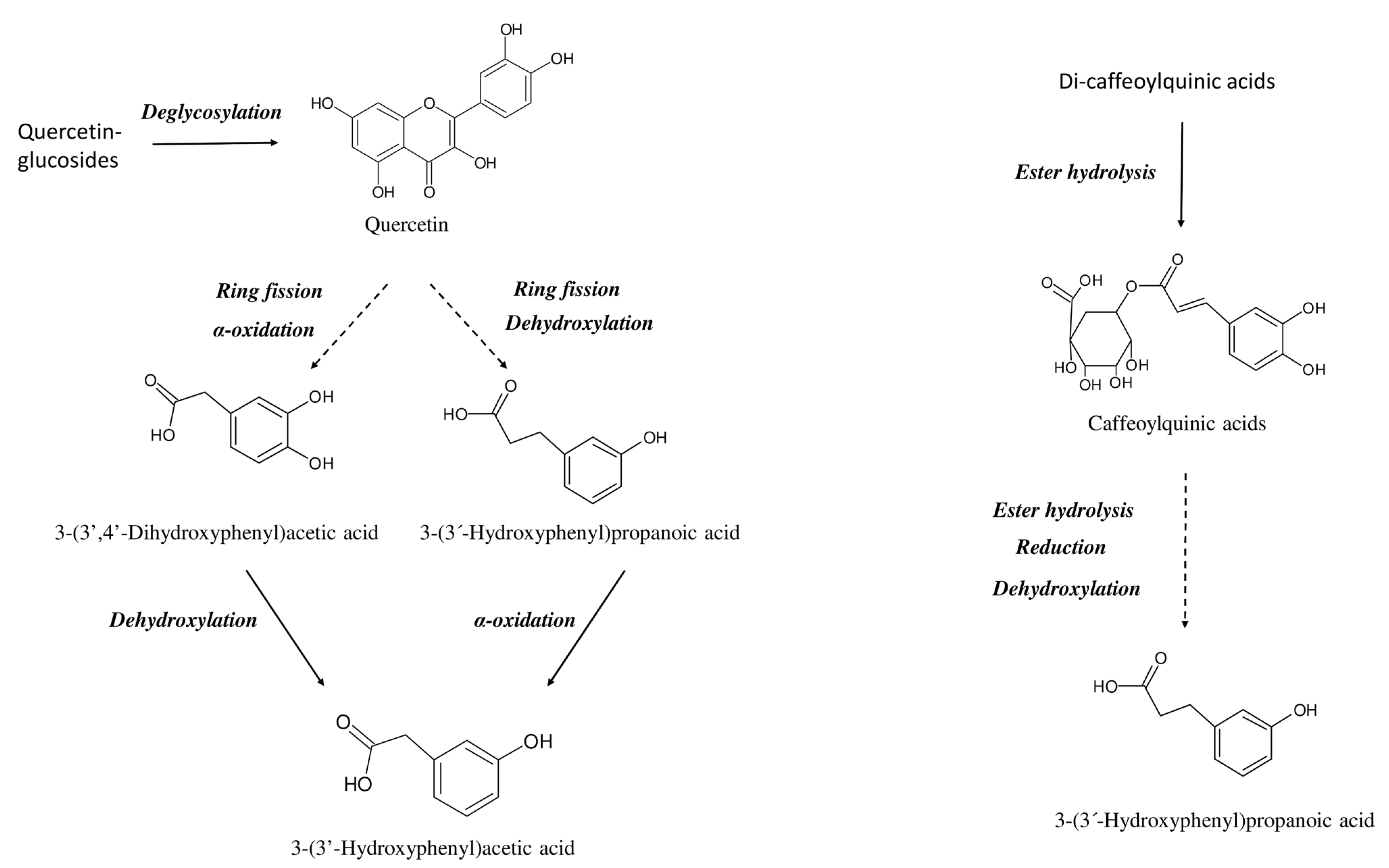 Ijms 24 12265 g004 Ijms 24 12265 g004