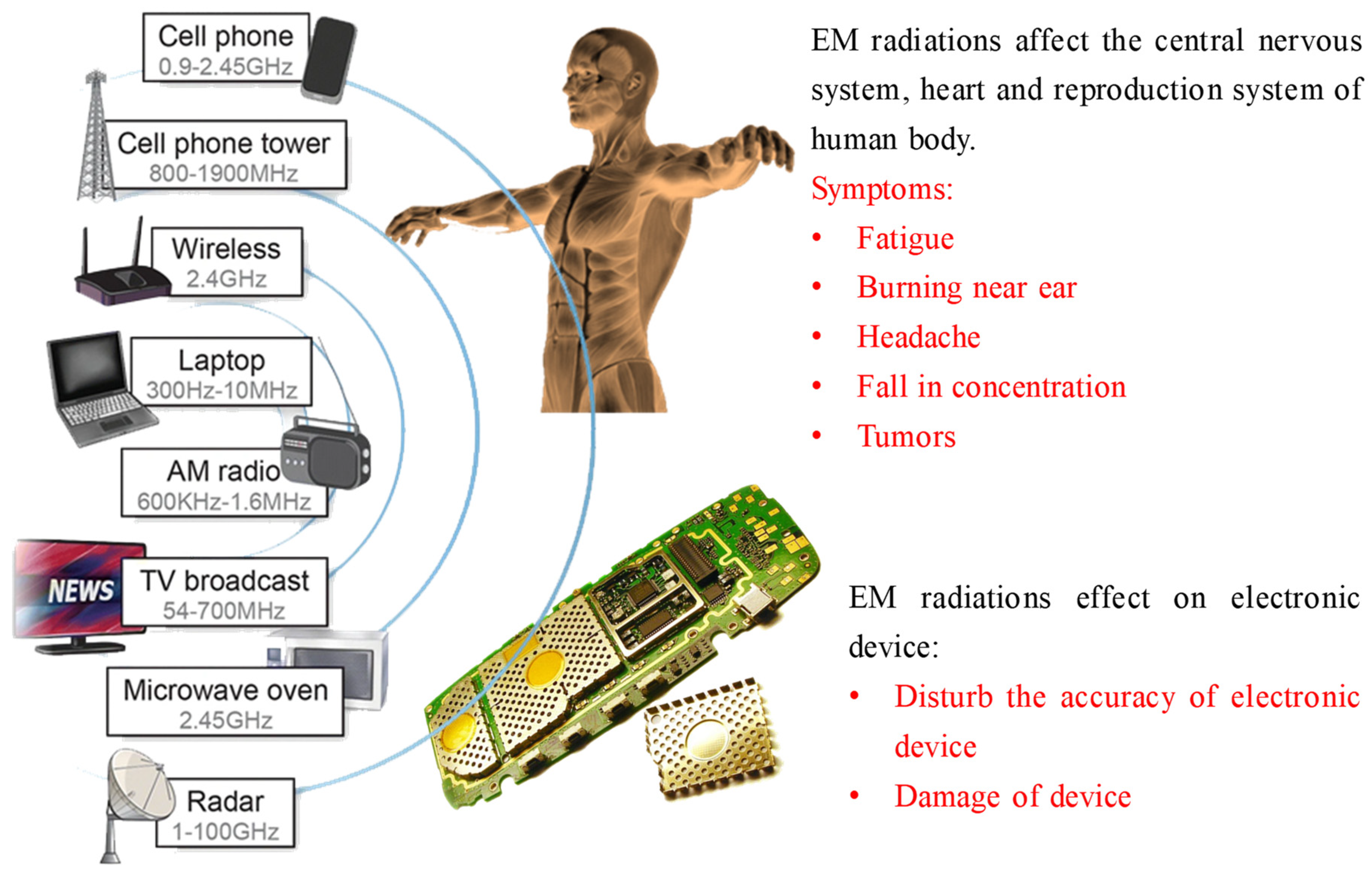 Ijms 24 12267 g001 Ijms 24 12267 g001