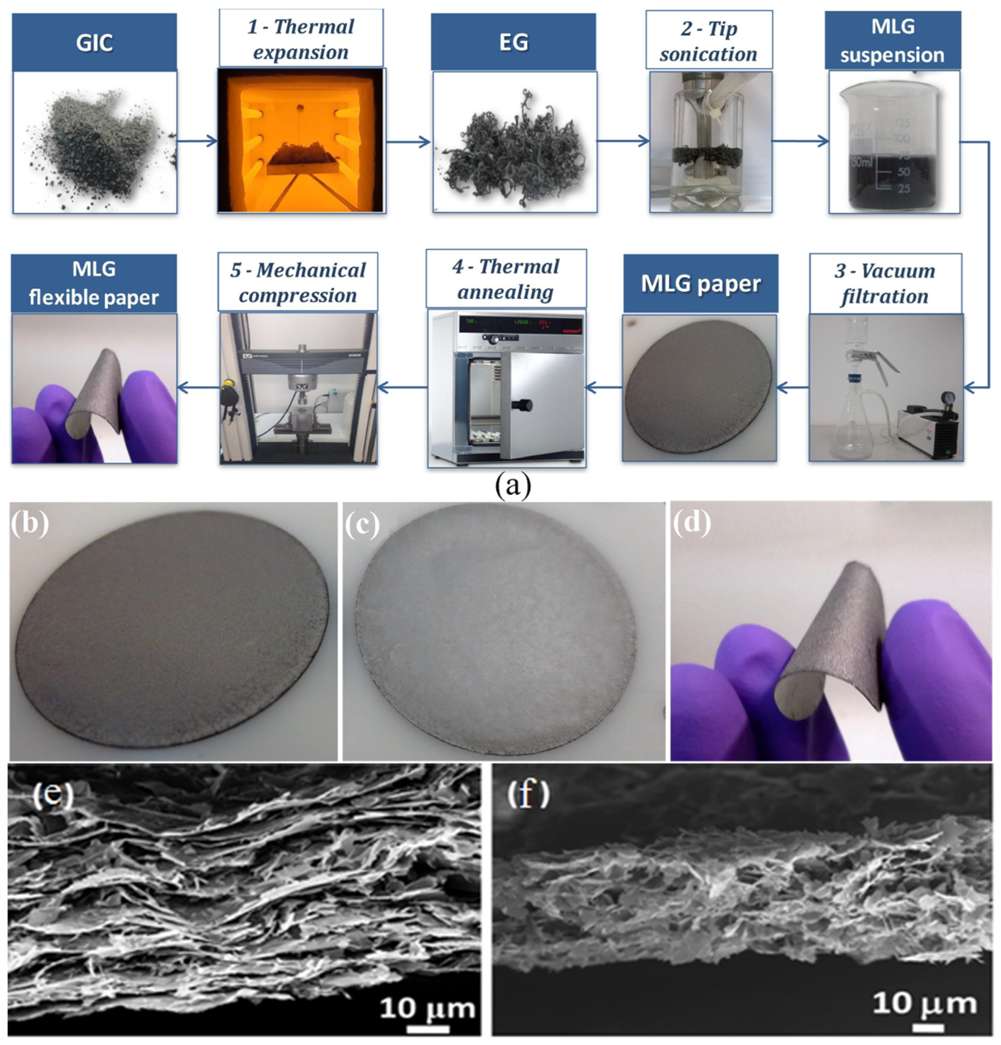 Ijms 24 12267 g005 Ijms 24 12267 g005