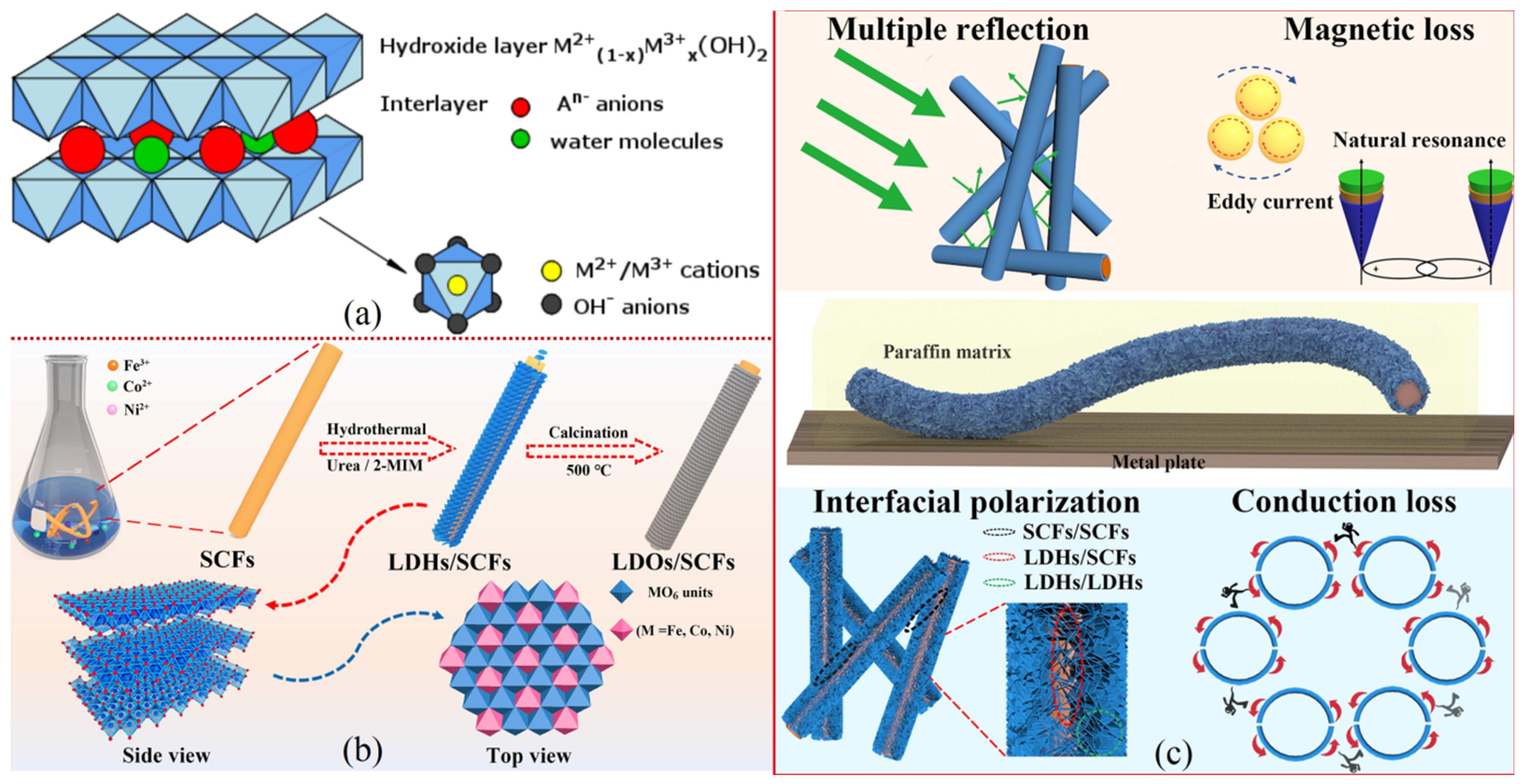 Ijms 24 12267 g012 Ijms 24 12267 g012