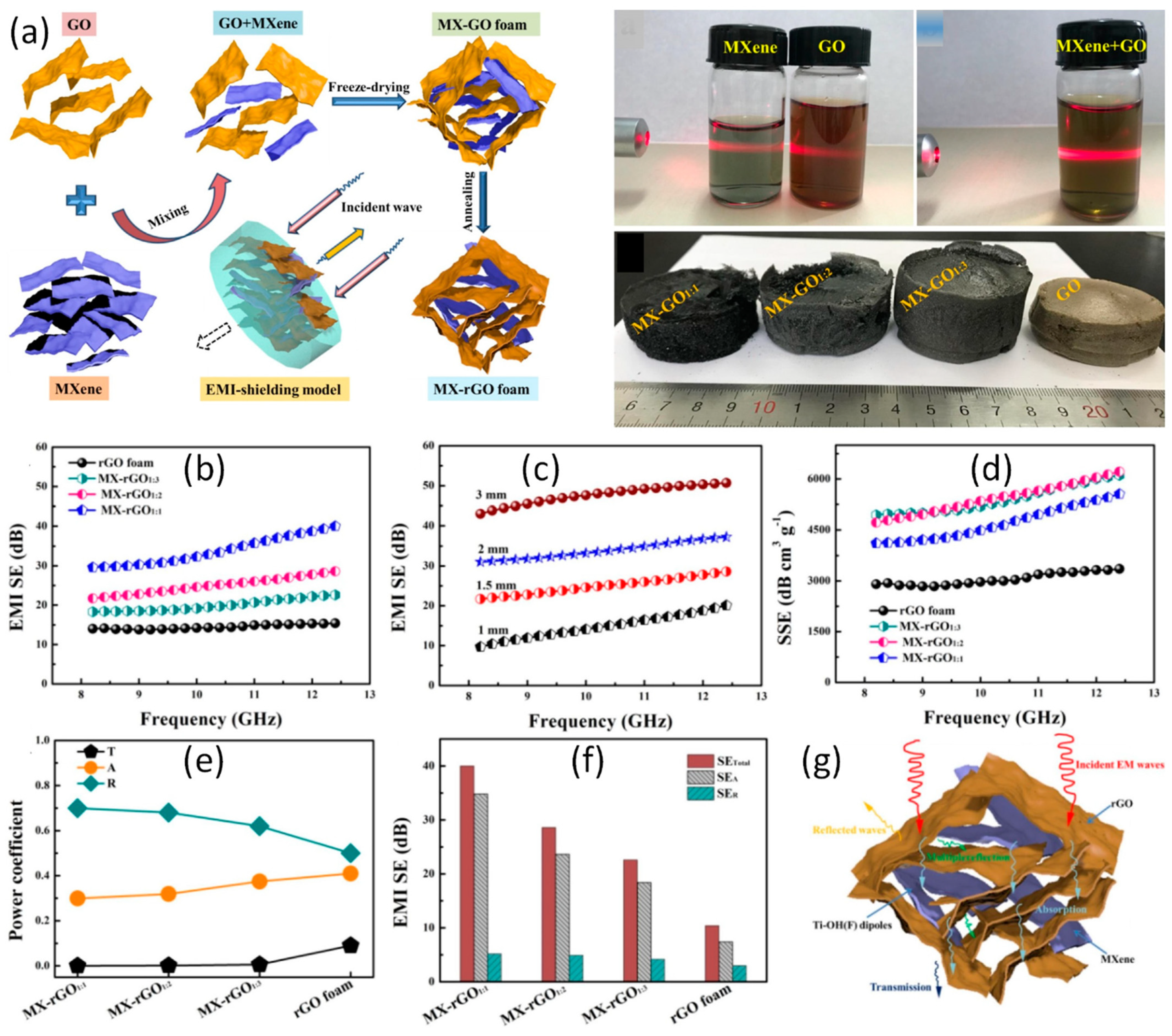 Ijms 24 12267 g016 Ijms 24 12267 g016