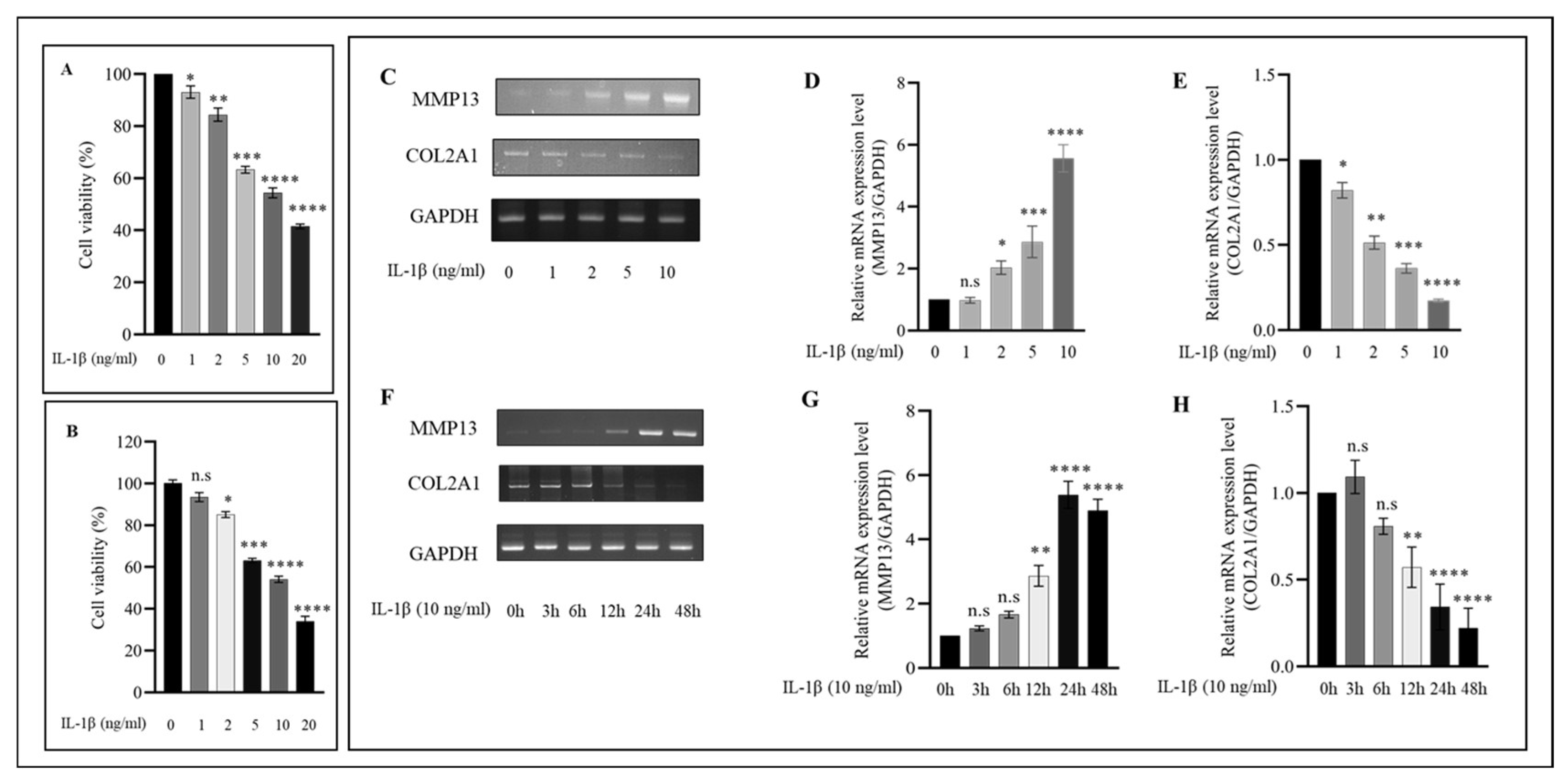 Ijms 24 12282 g001 Ijms 24 12282 g001