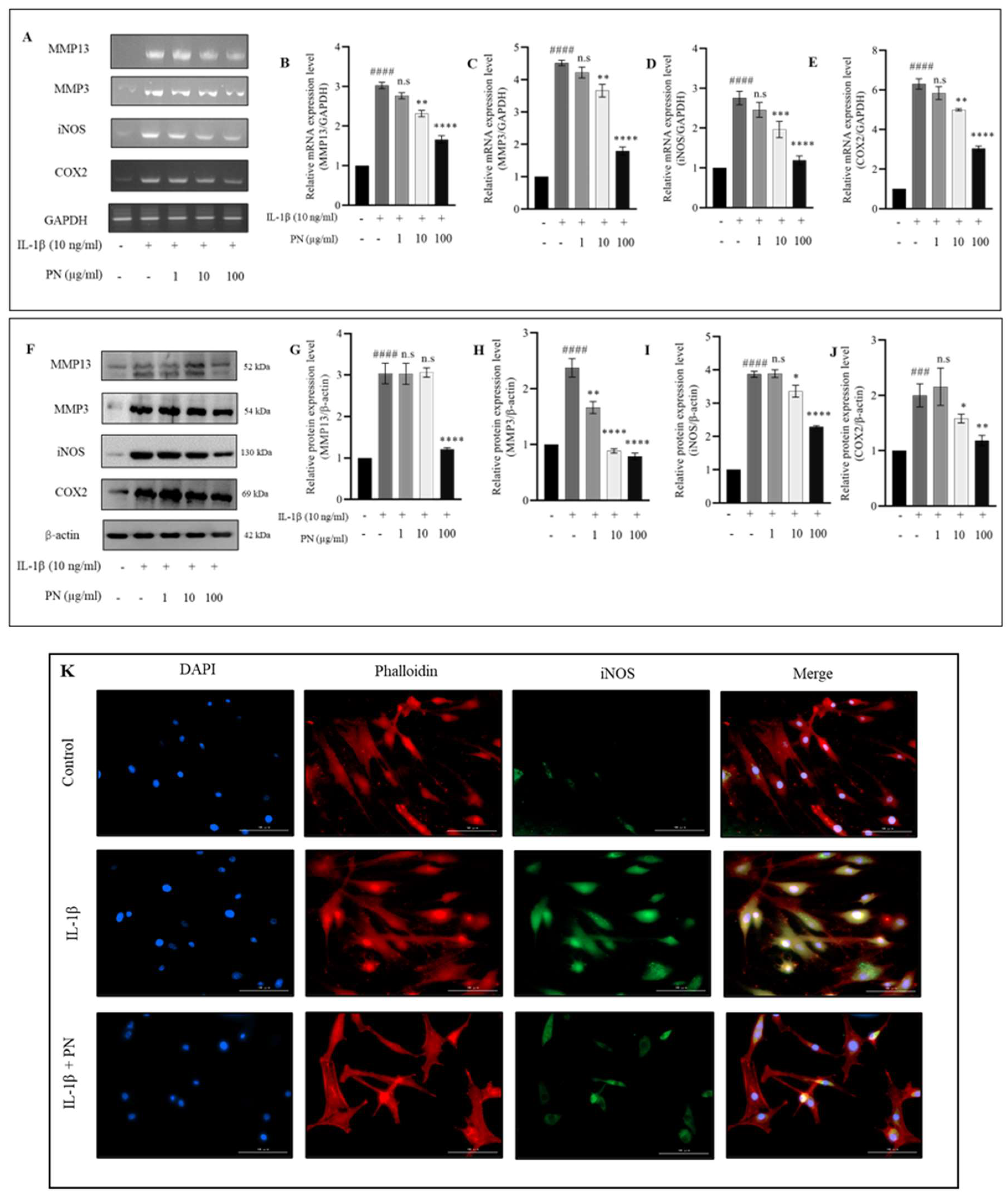 Ijms 24 12282 g004 Ijms 24 12282 g004
