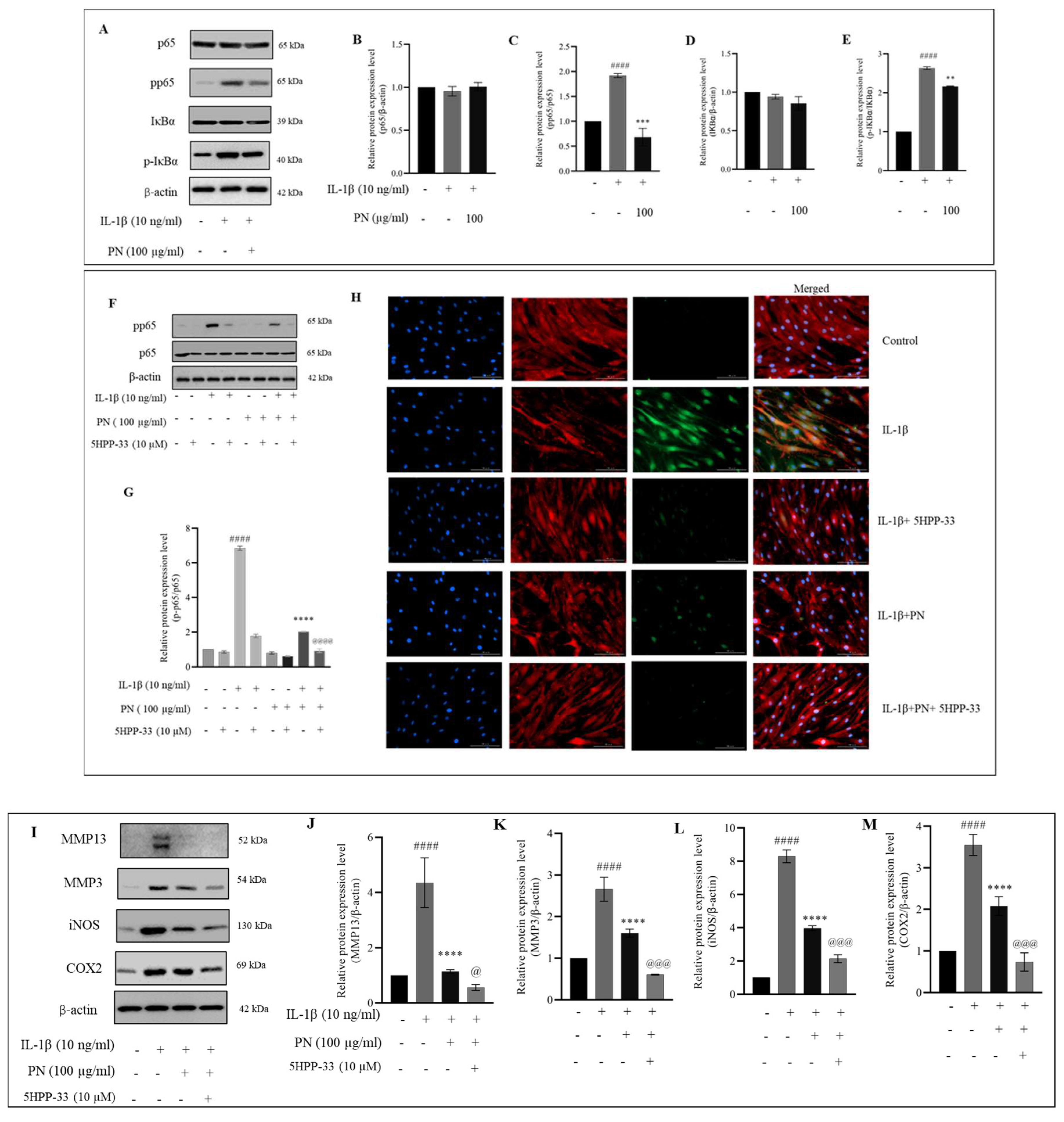 Ijms 24 12282 g005 Ijms 24 12282 g005