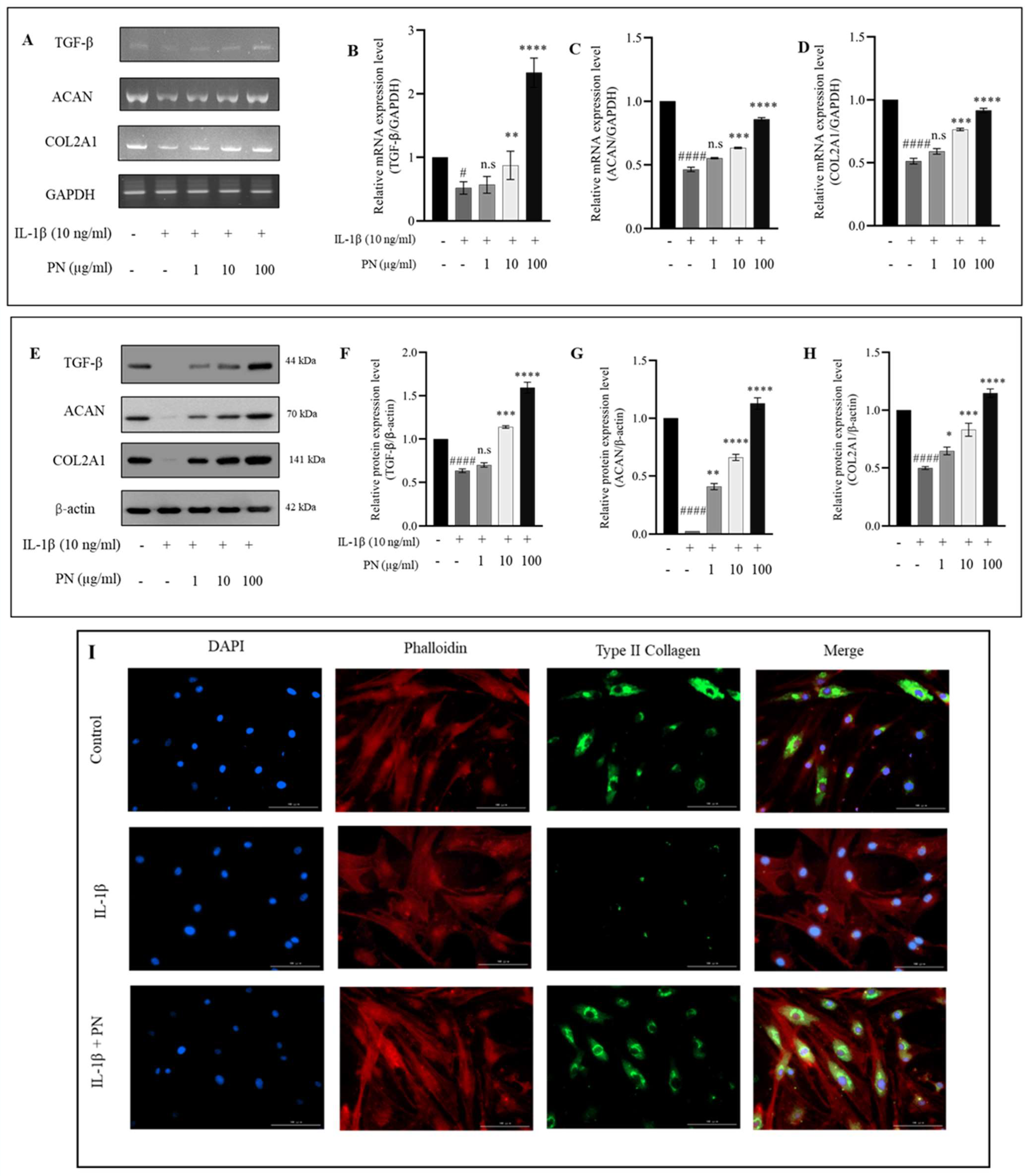 Ijms 24 12282 g006 Ijms 24 12282 g006