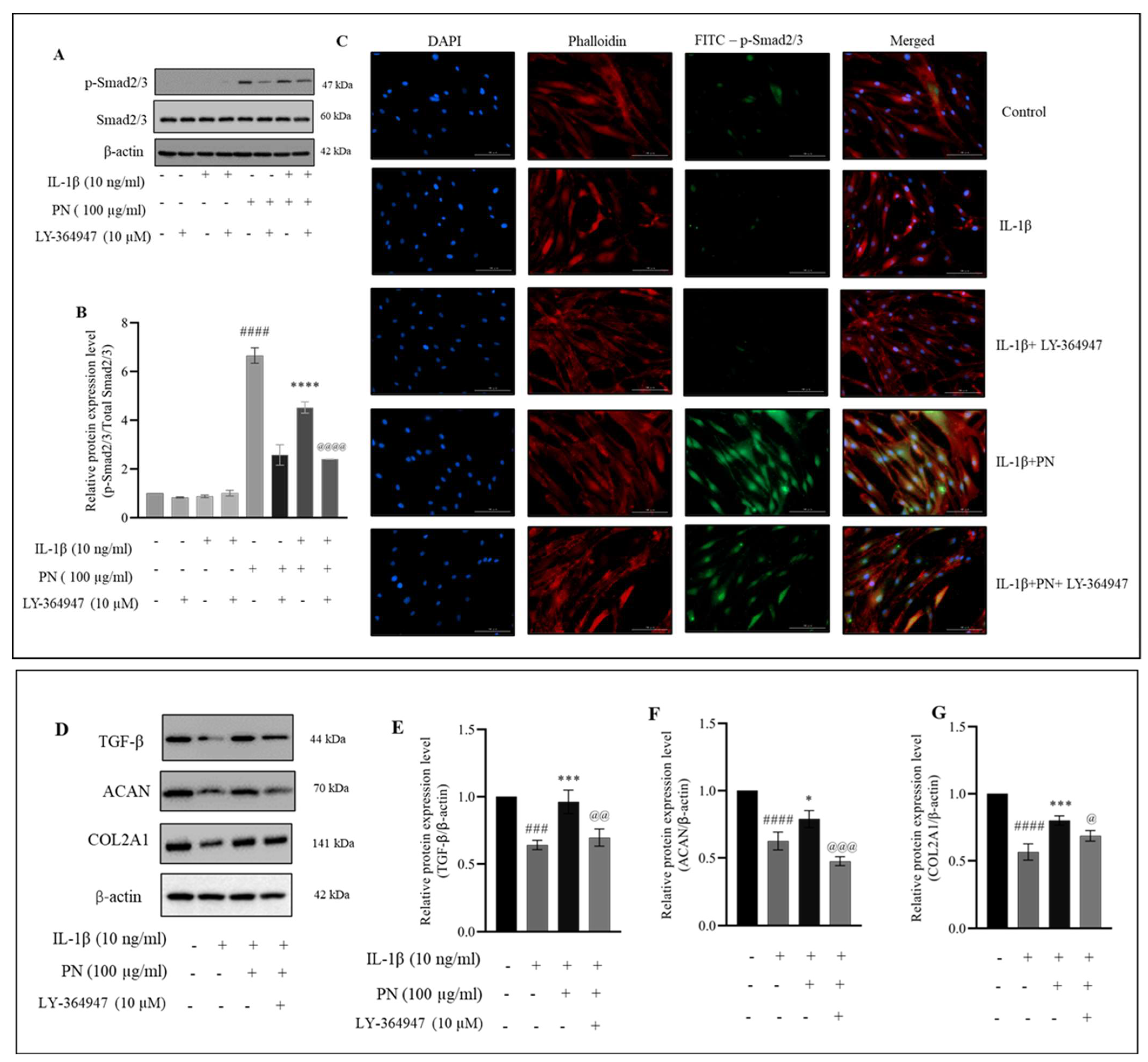 Ijms 24 12282 g007 Ijms 24 12282 g007