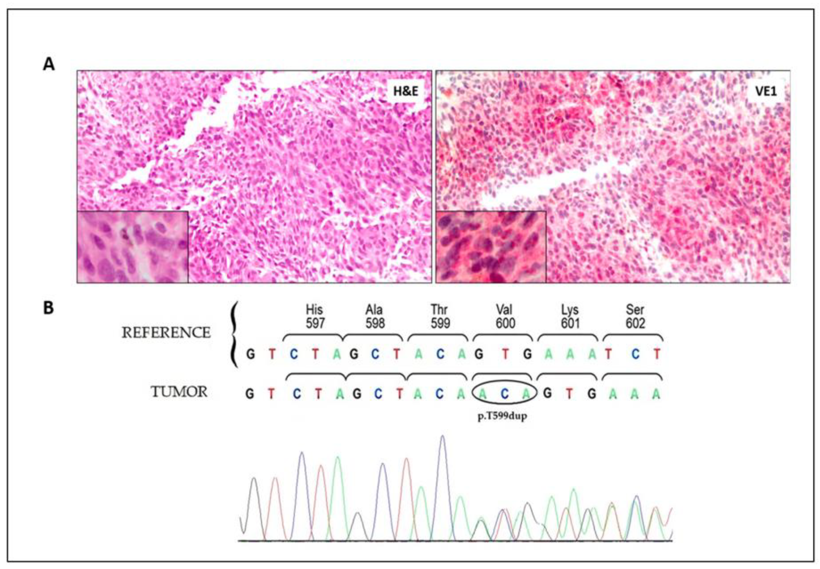 Ijms 24 12285 g001 Ijms 24 12285 g001