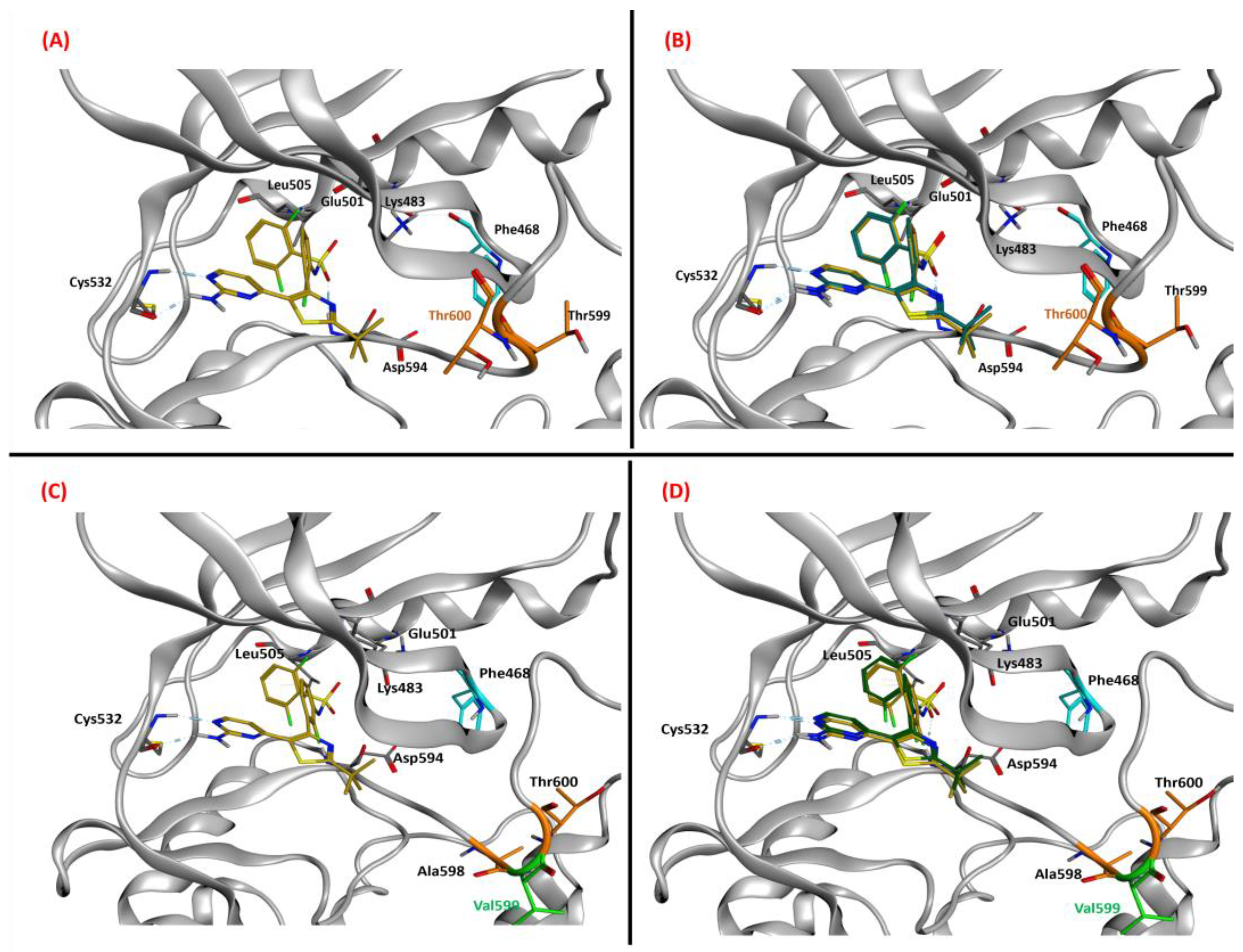 Ijms 24 12285 g005 Ijms 24 12285 g005