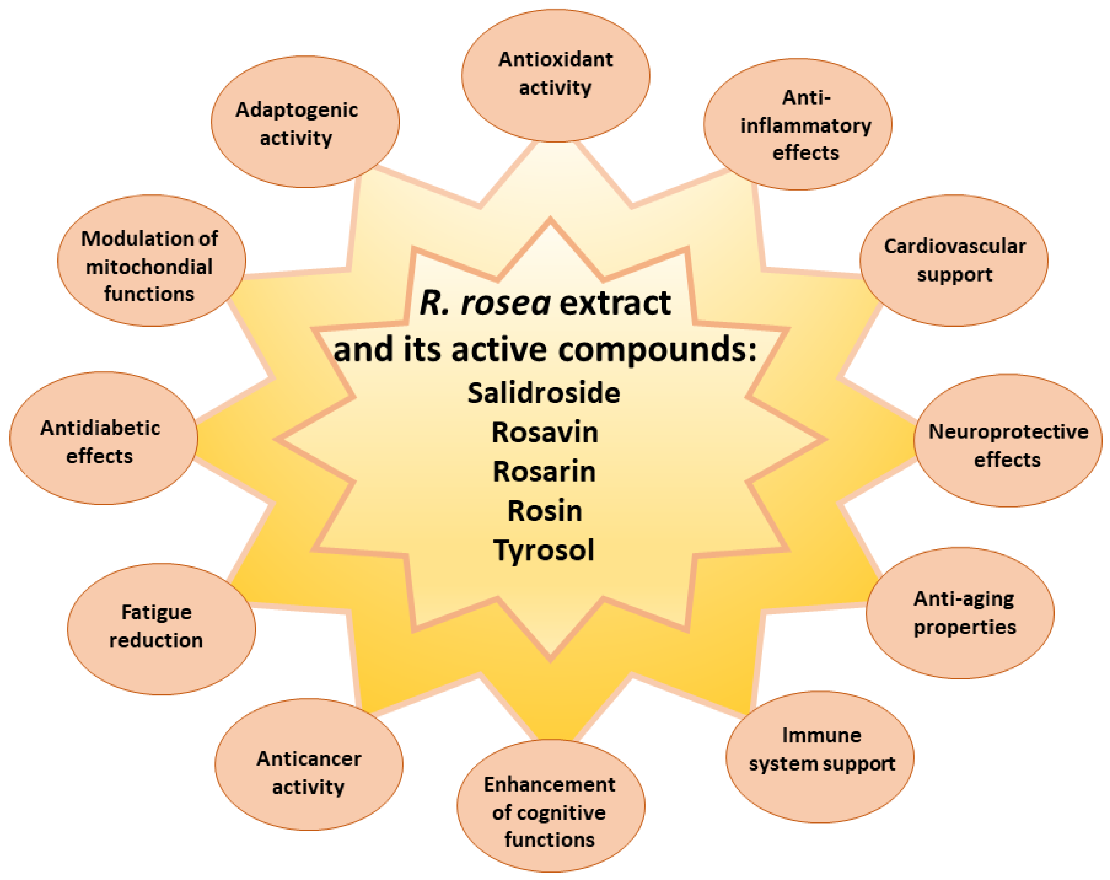 Phenolic Compounds of Rhodiola rosea L. as the Potential
