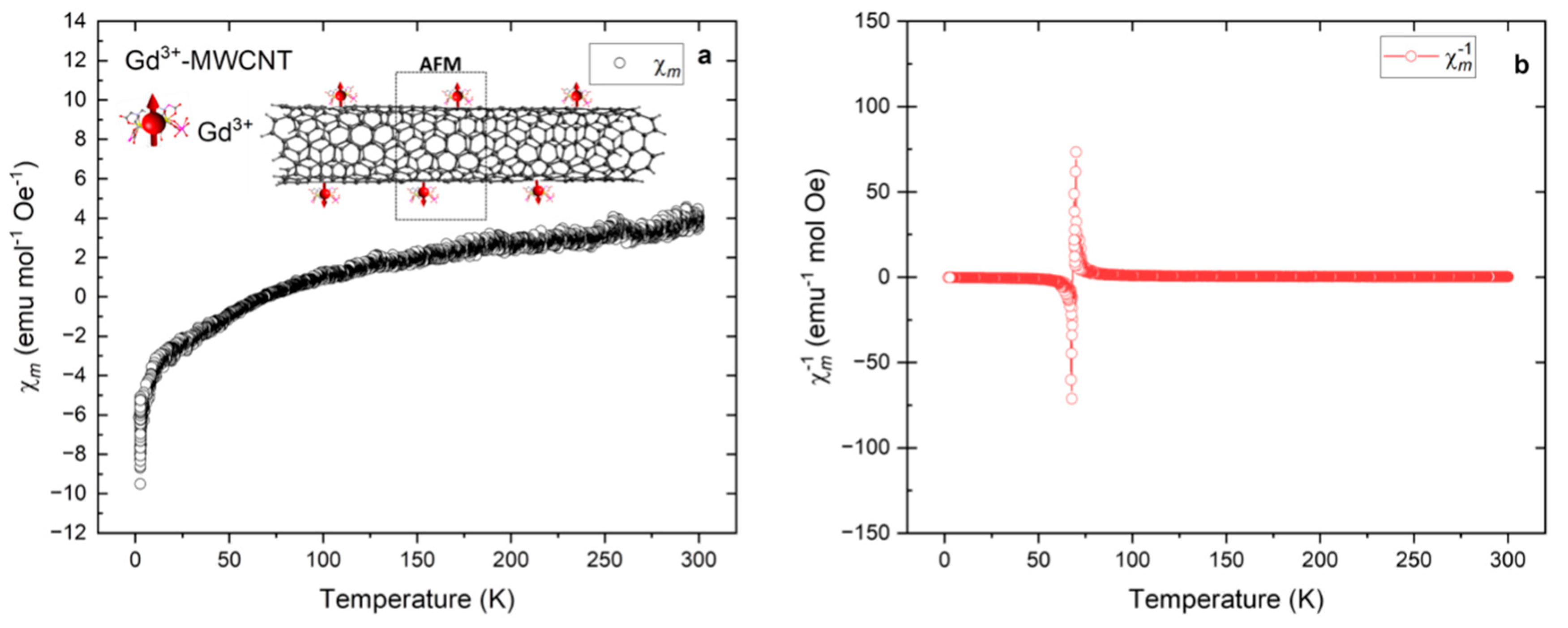 Ijms 24 12303 g003 Ijms 24 12303 g003