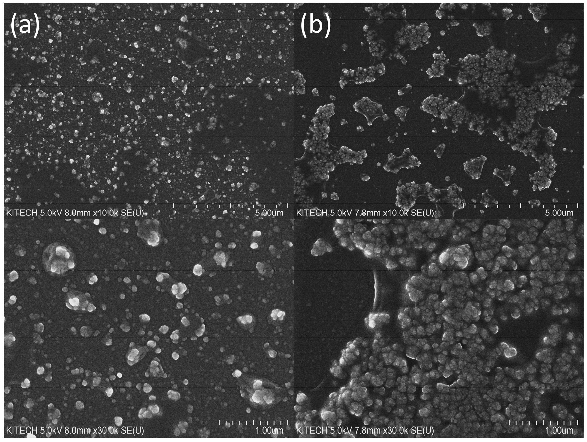 Ijms 24 12330 g003 Ijms 24 12330 g003