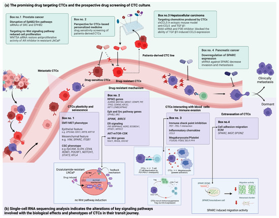 Deciphering the Biology of Circulating Tumor Cells through Single-Cell ...