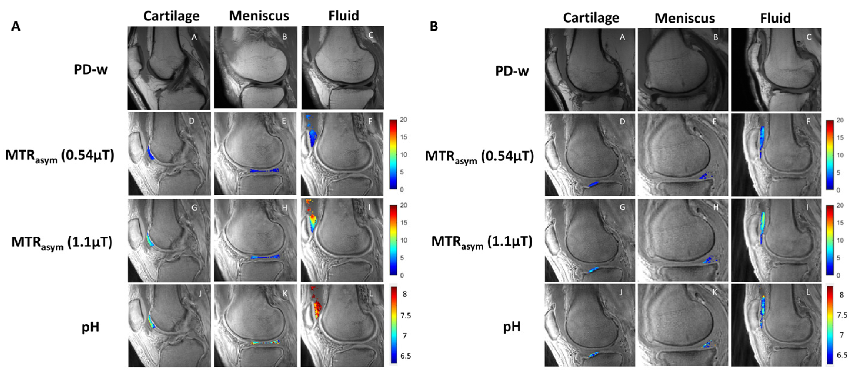 Ijms 24 12346 g001 550
