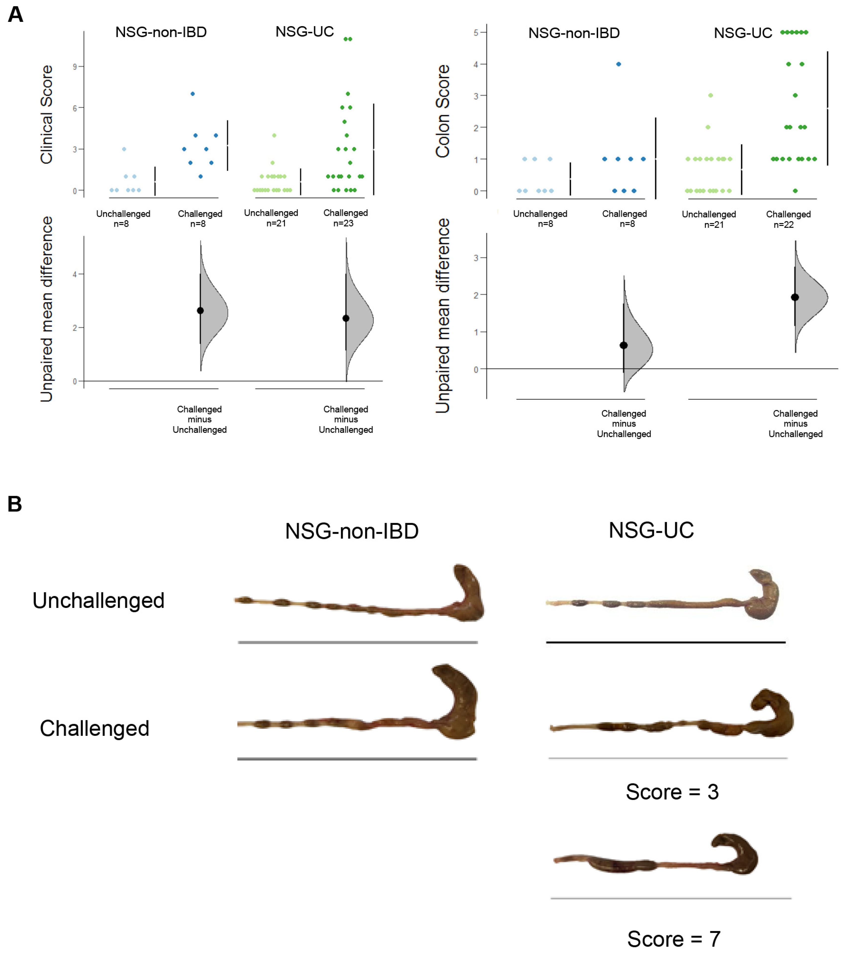 Ijms 24 12348 g002 Ijms 24 12348 g002