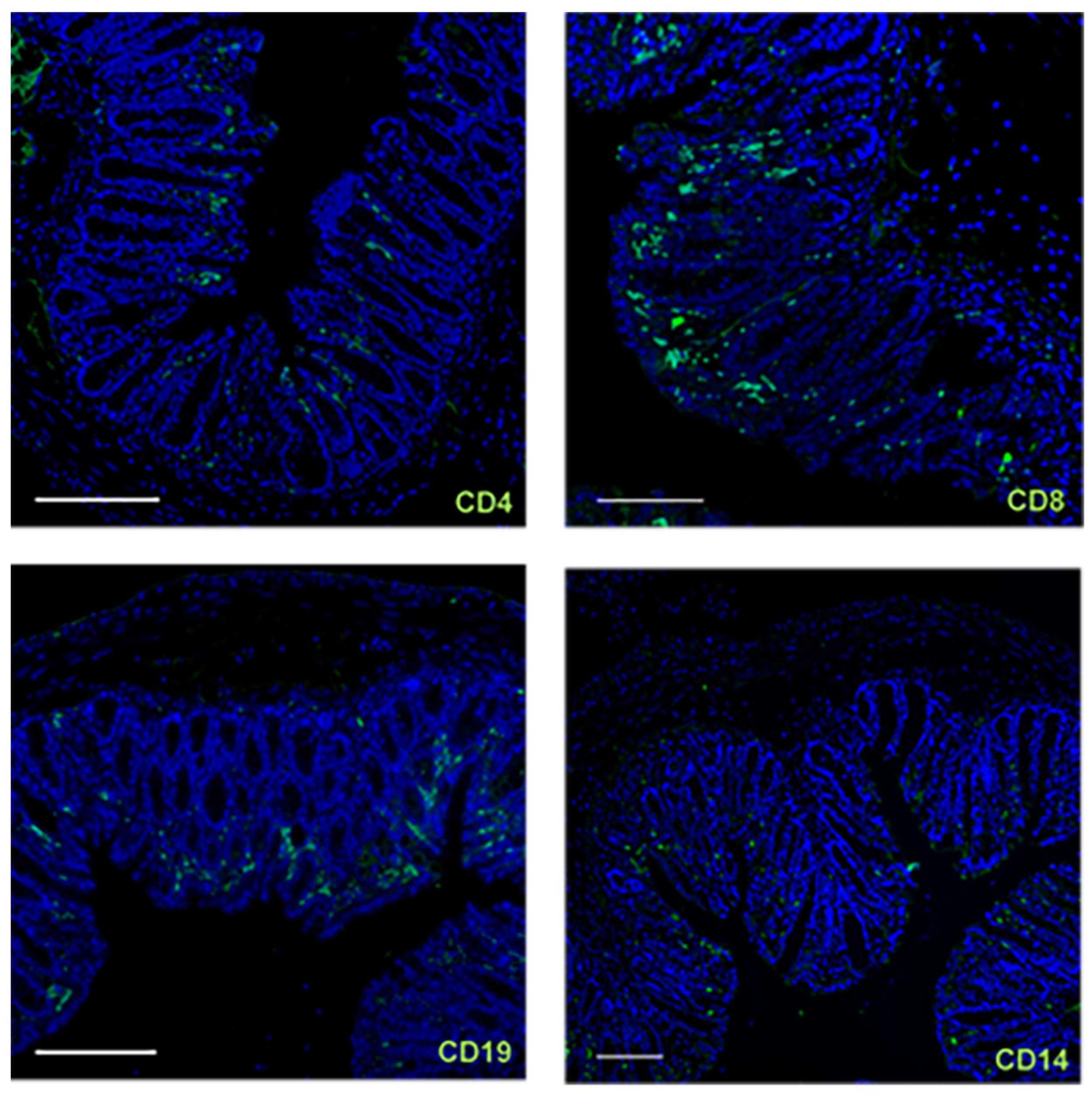 Ijms 24 12348 g006 Ijms 24 12348 g006
