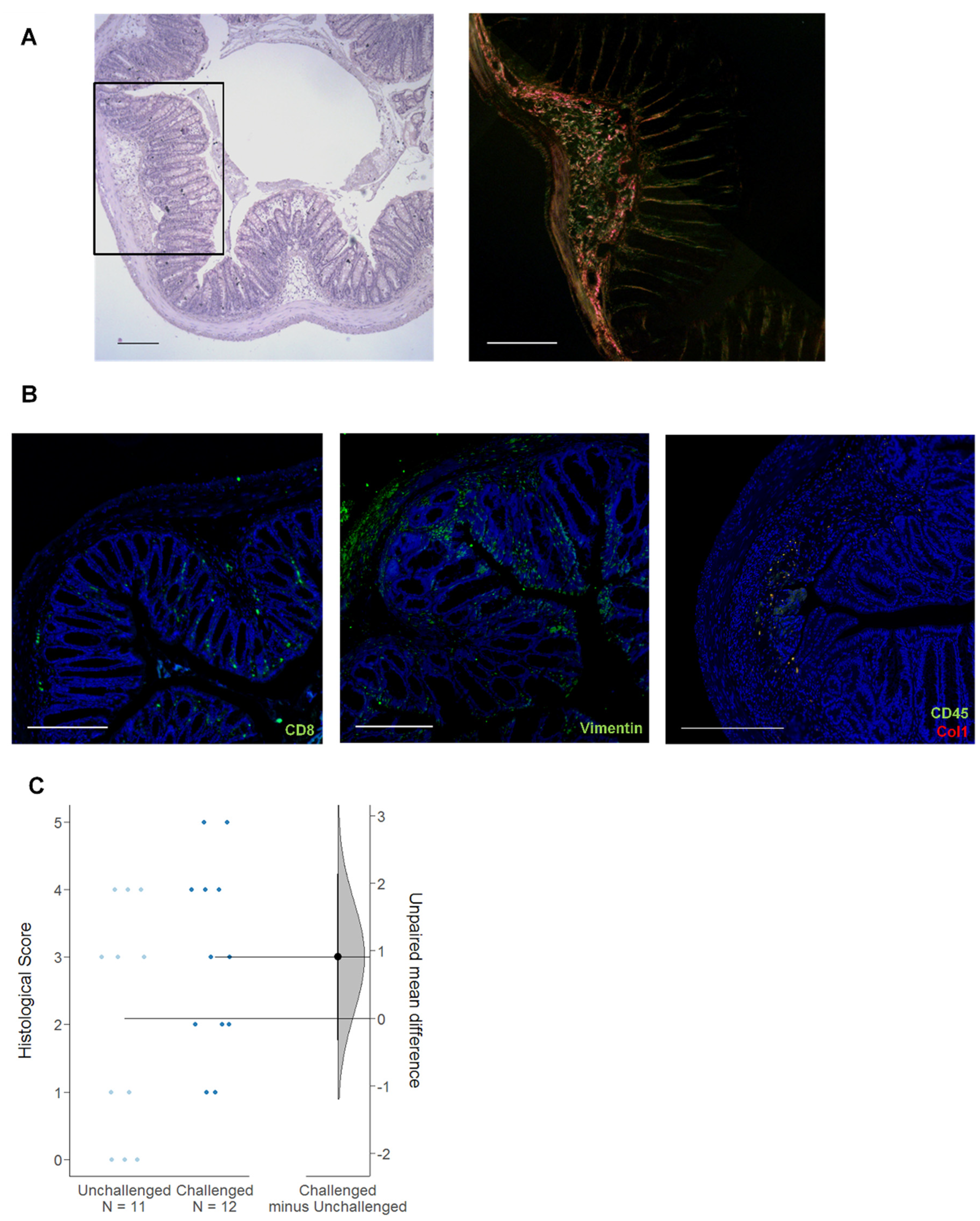 Ijms 24 12348 g009 Ijms 24 12348 g009