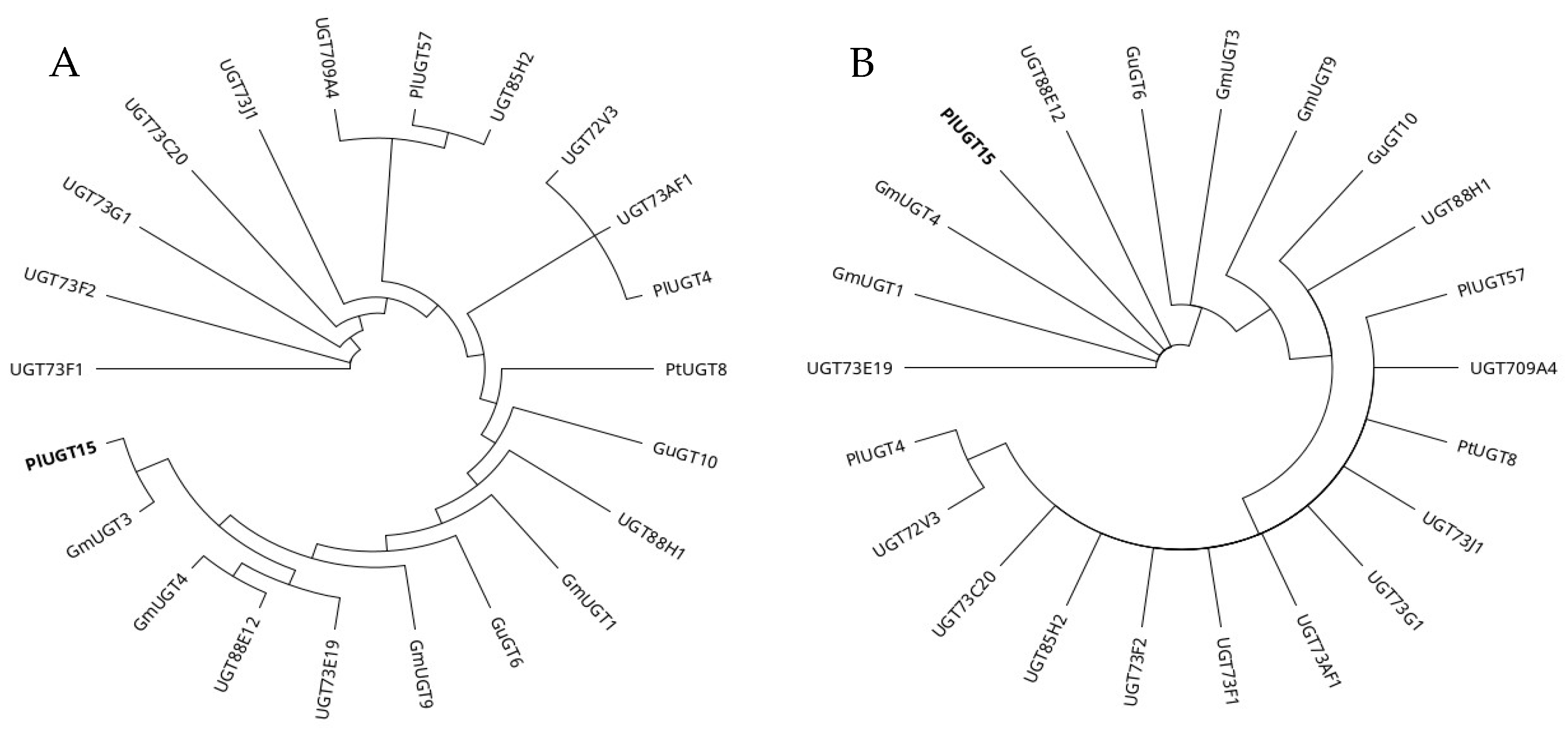 Ijms 24 12356 g003 Ijms 24 12356 g003
