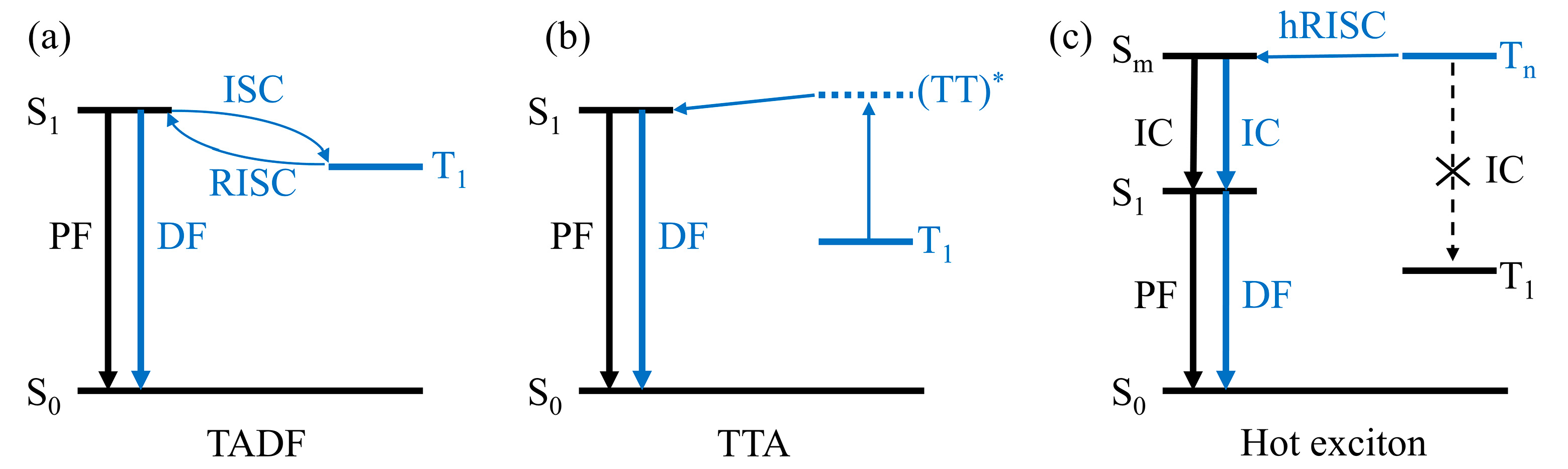 Ijms 24 12362 g001 Ijms 24 12362 g001
