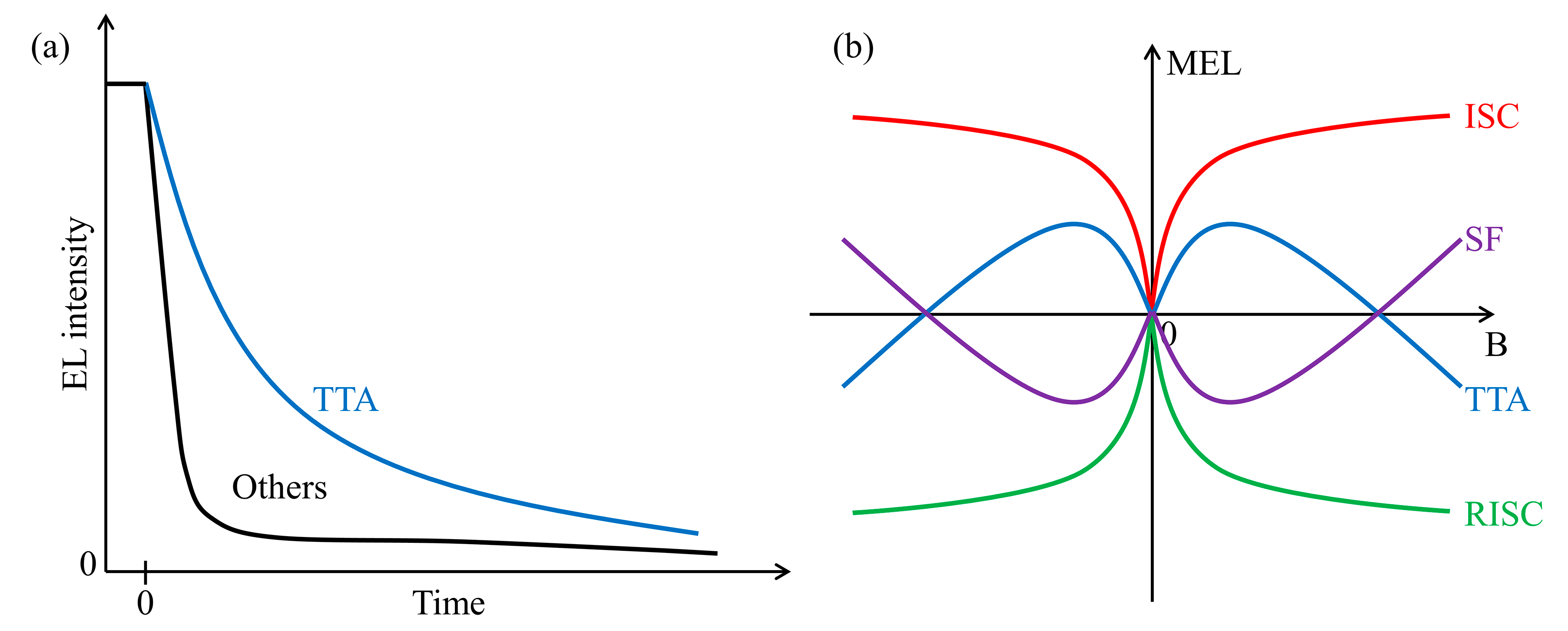 Ijms 24 12362 g003 Ijms 24 12362 g003