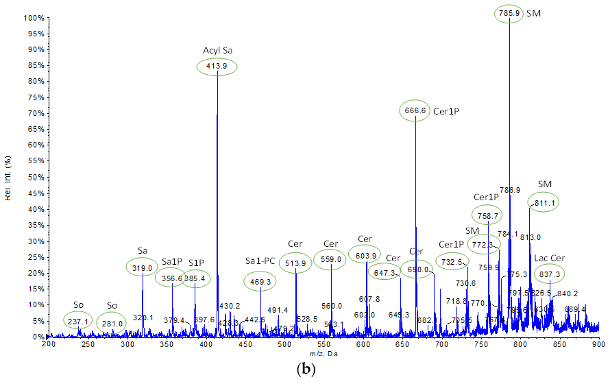 Ijms 24 12364 g003b Ijms 24 12364 g003b
