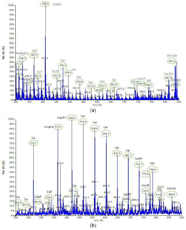 Ijms 24 12364 g006 Ijms 24 12364 g006