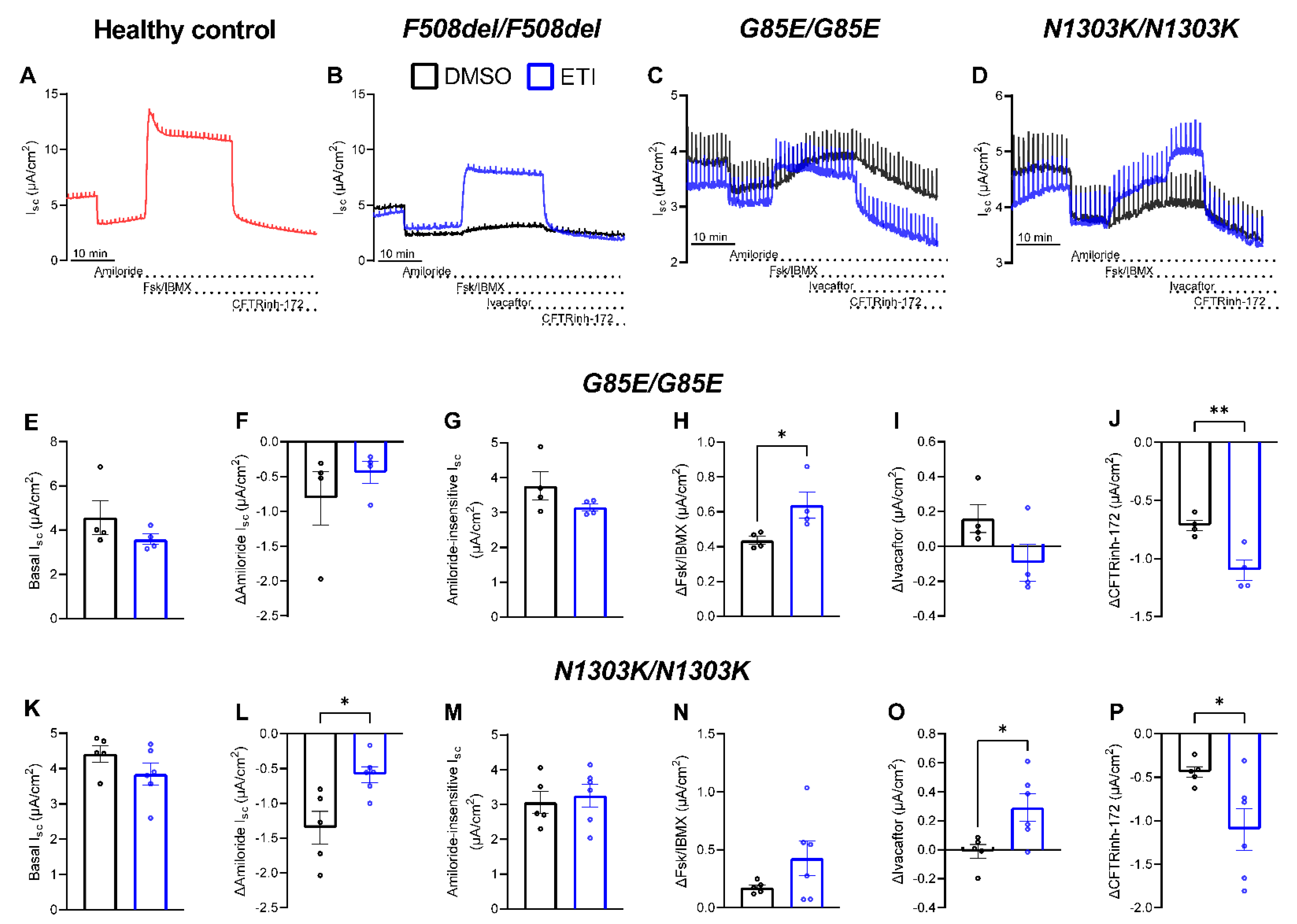 Ijms 24 12365 g001 Ijms 24 12365 g001