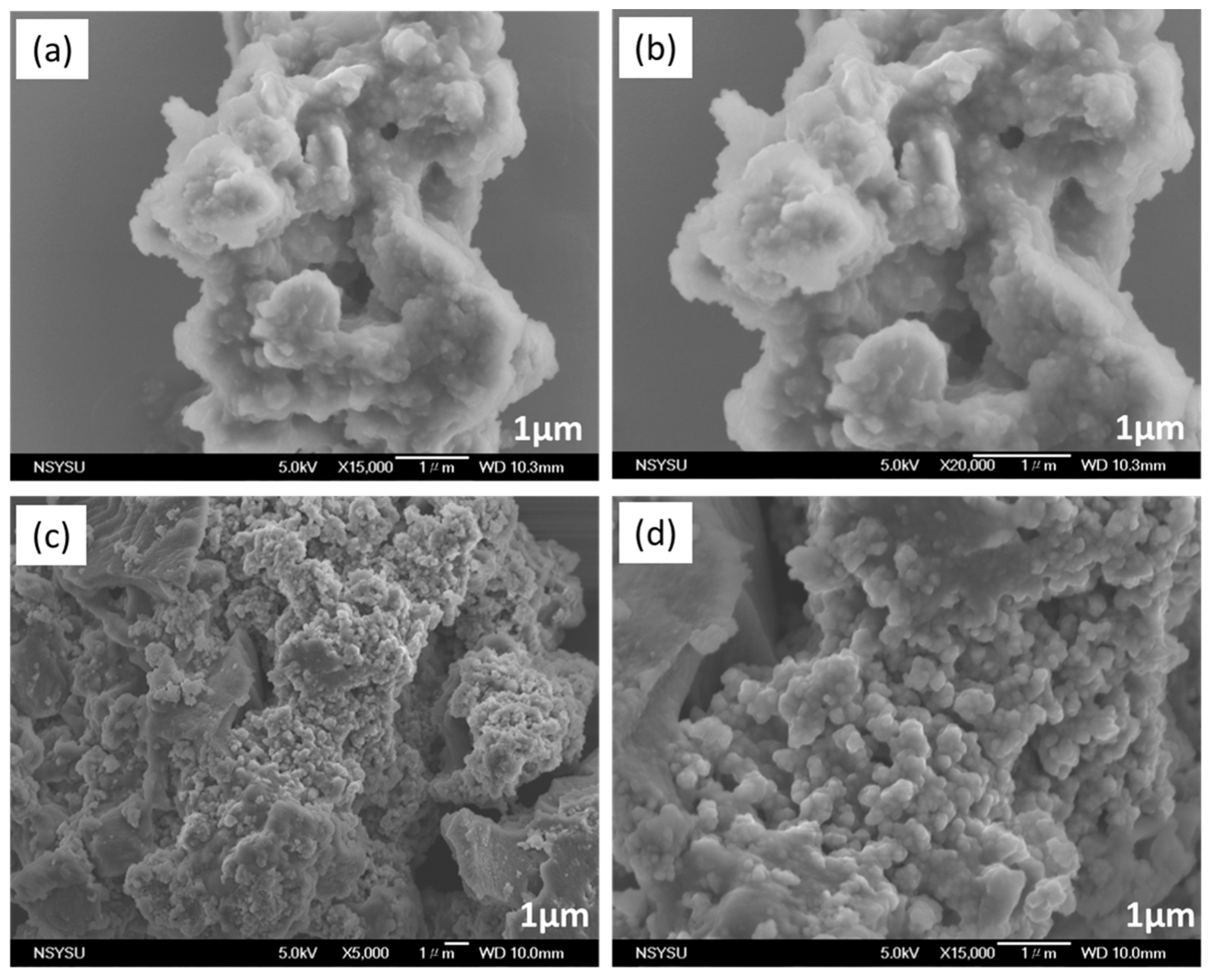 Ijms 24 12371 g004 Ijms 24 12371 g004