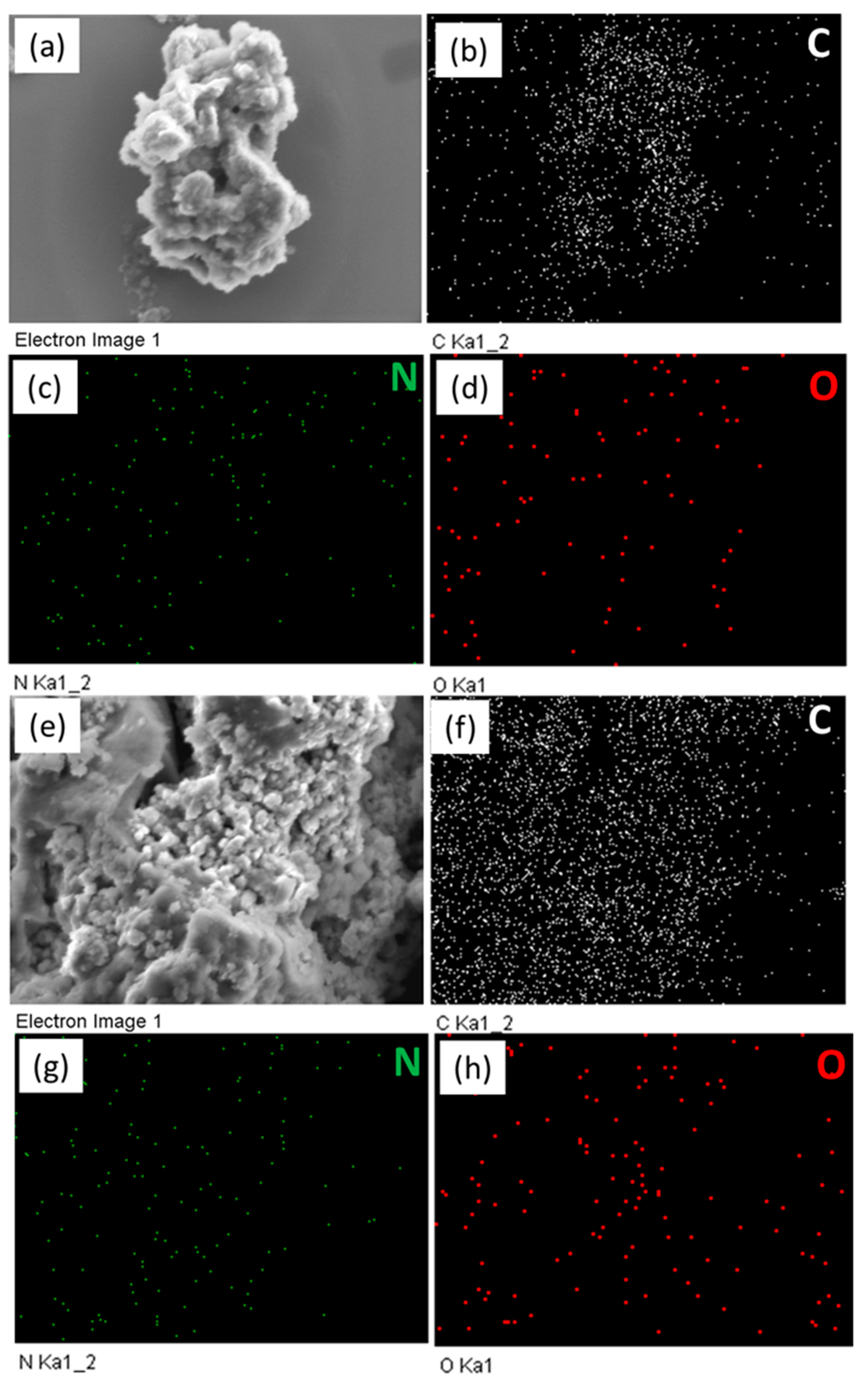 Ijms 24 12371 g005 Ijms 24 12371 g005