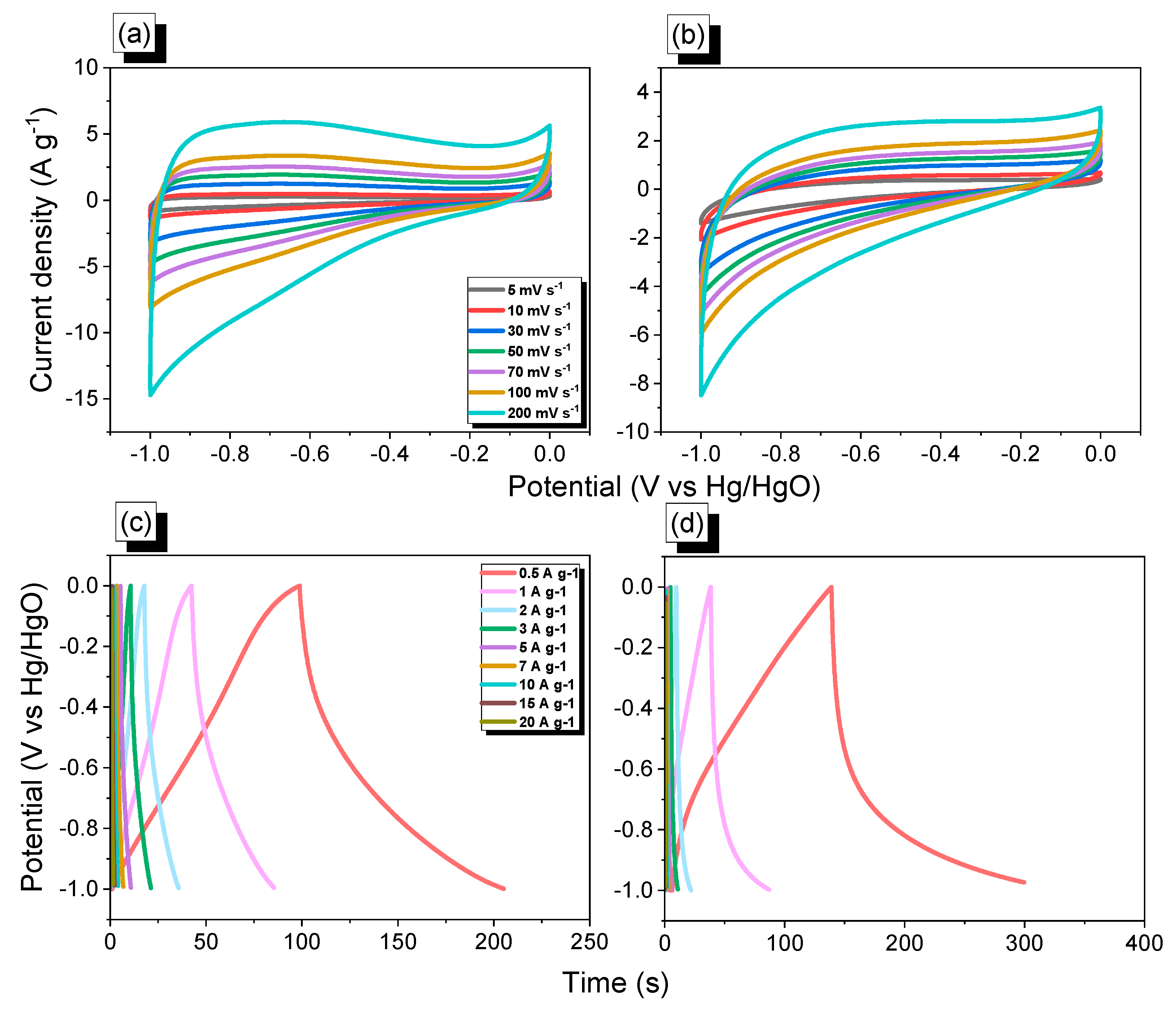 Ijms 24 12371 g007 Ijms 24 12371 g007