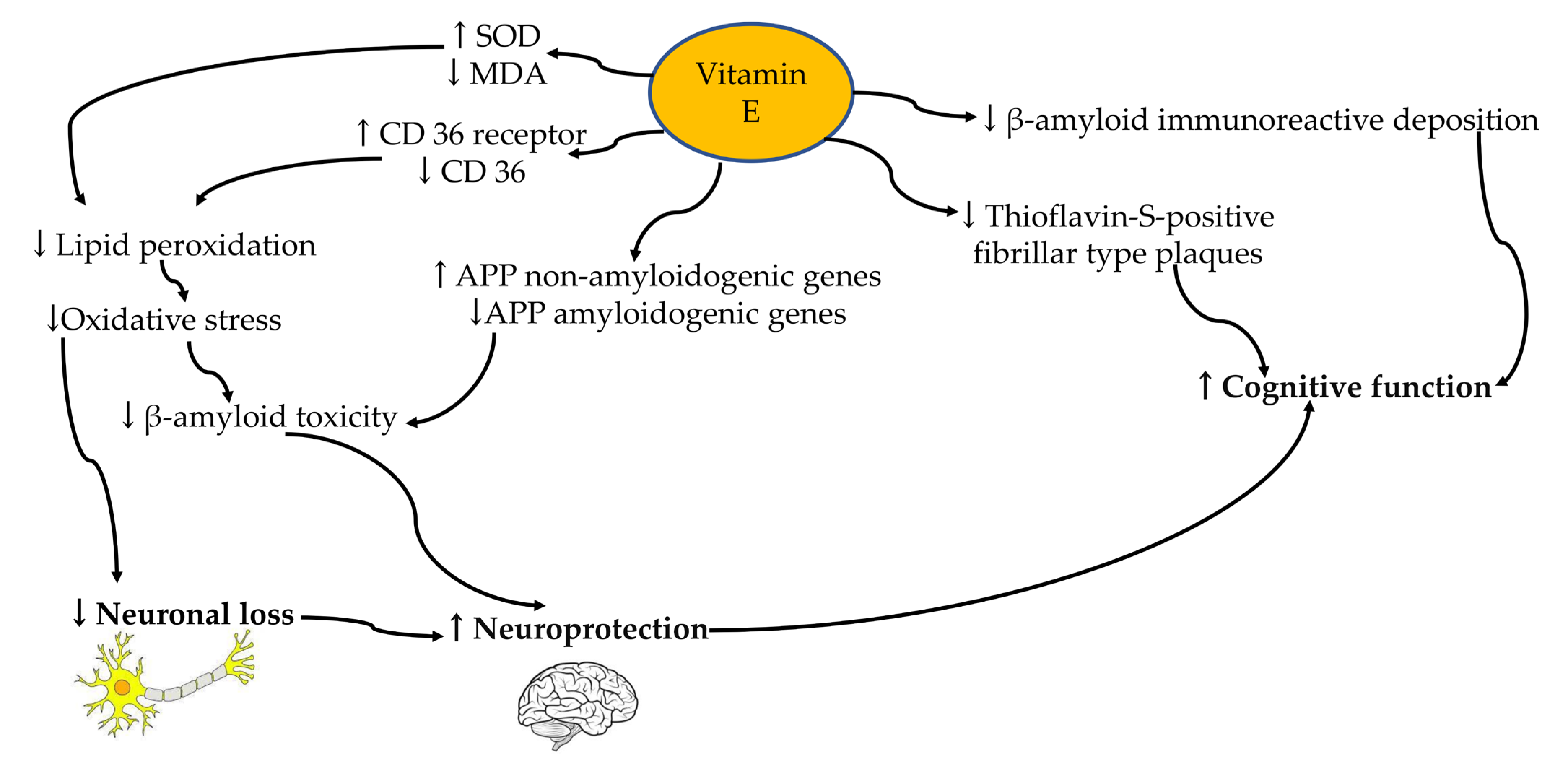 Ijms 24 12372 g002 Ijms 24 12372 g002