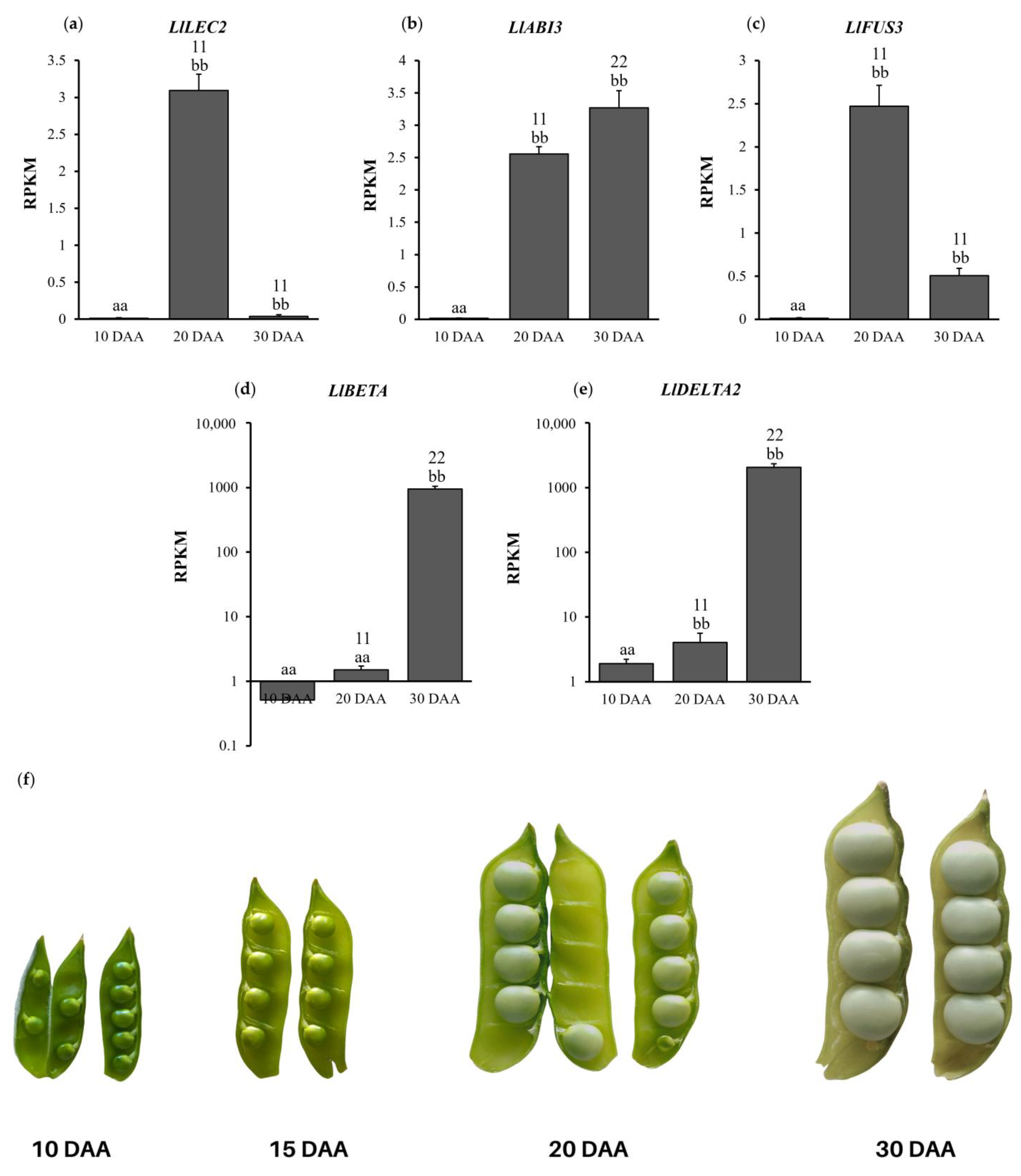 Ijms 24 12380 g001 Ijms 24 12380 g001