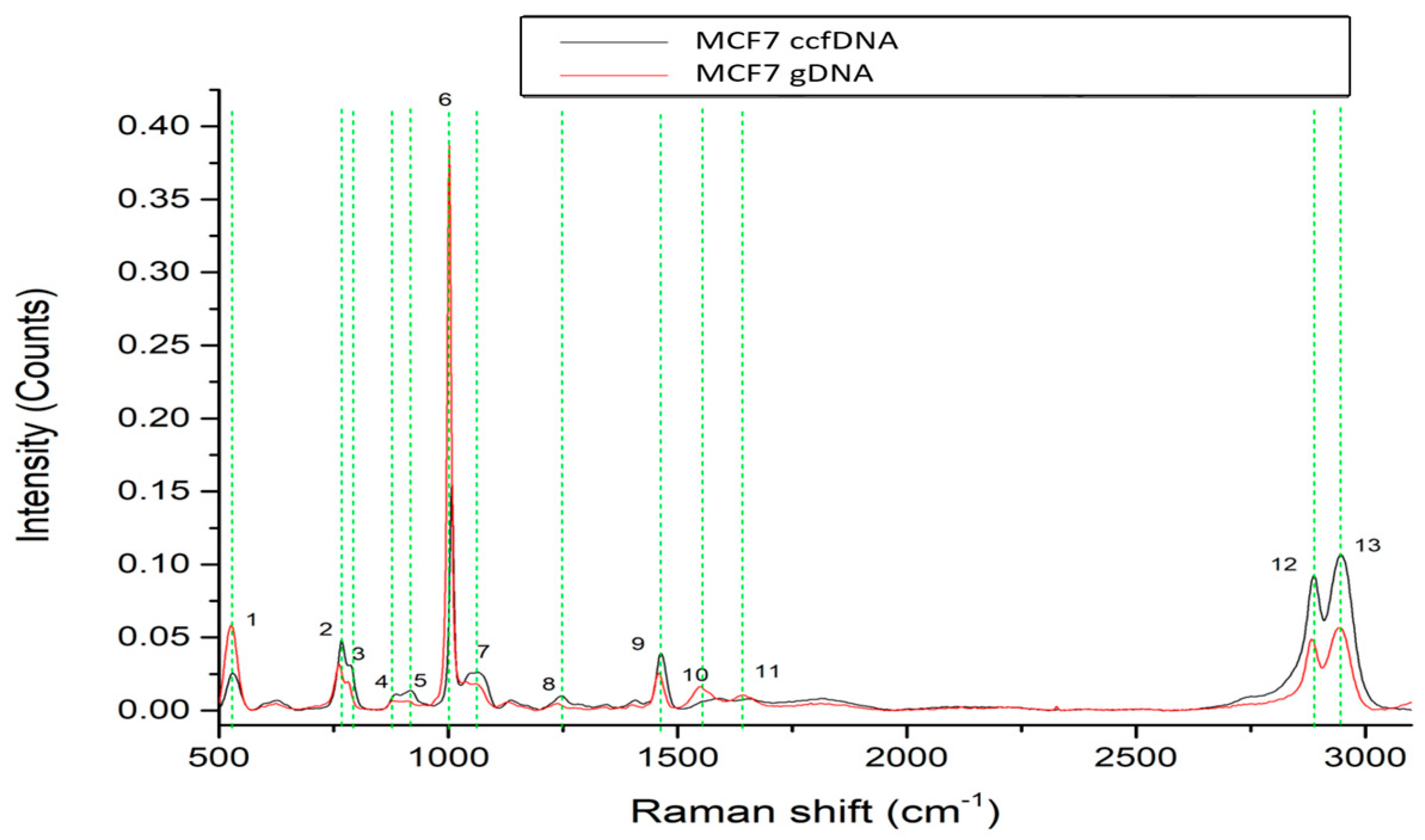 Ijms 24 12384 g003 Ijms 24 12384 g003
