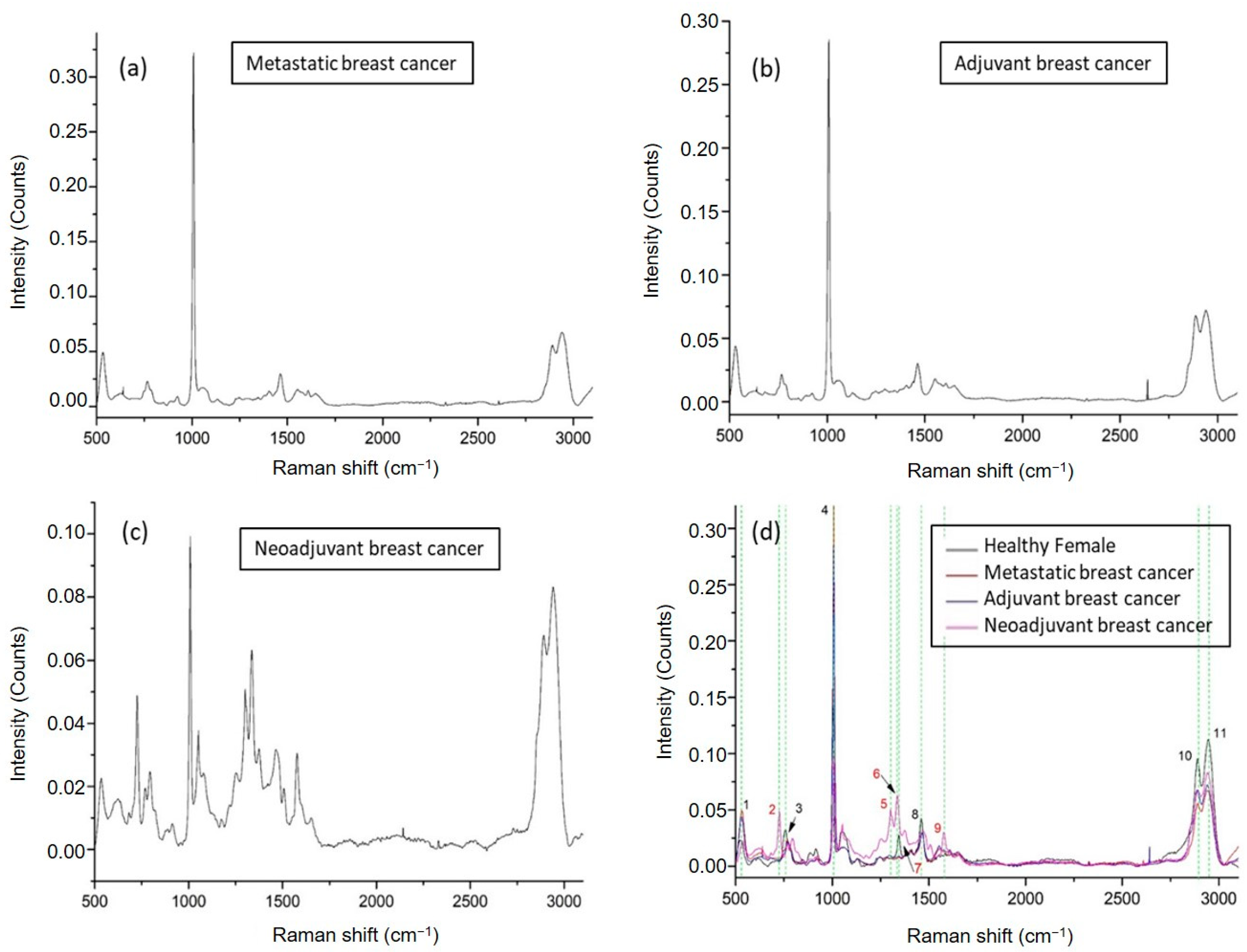 Ijms 24 12384 g004 Ijms 24 12384 g004