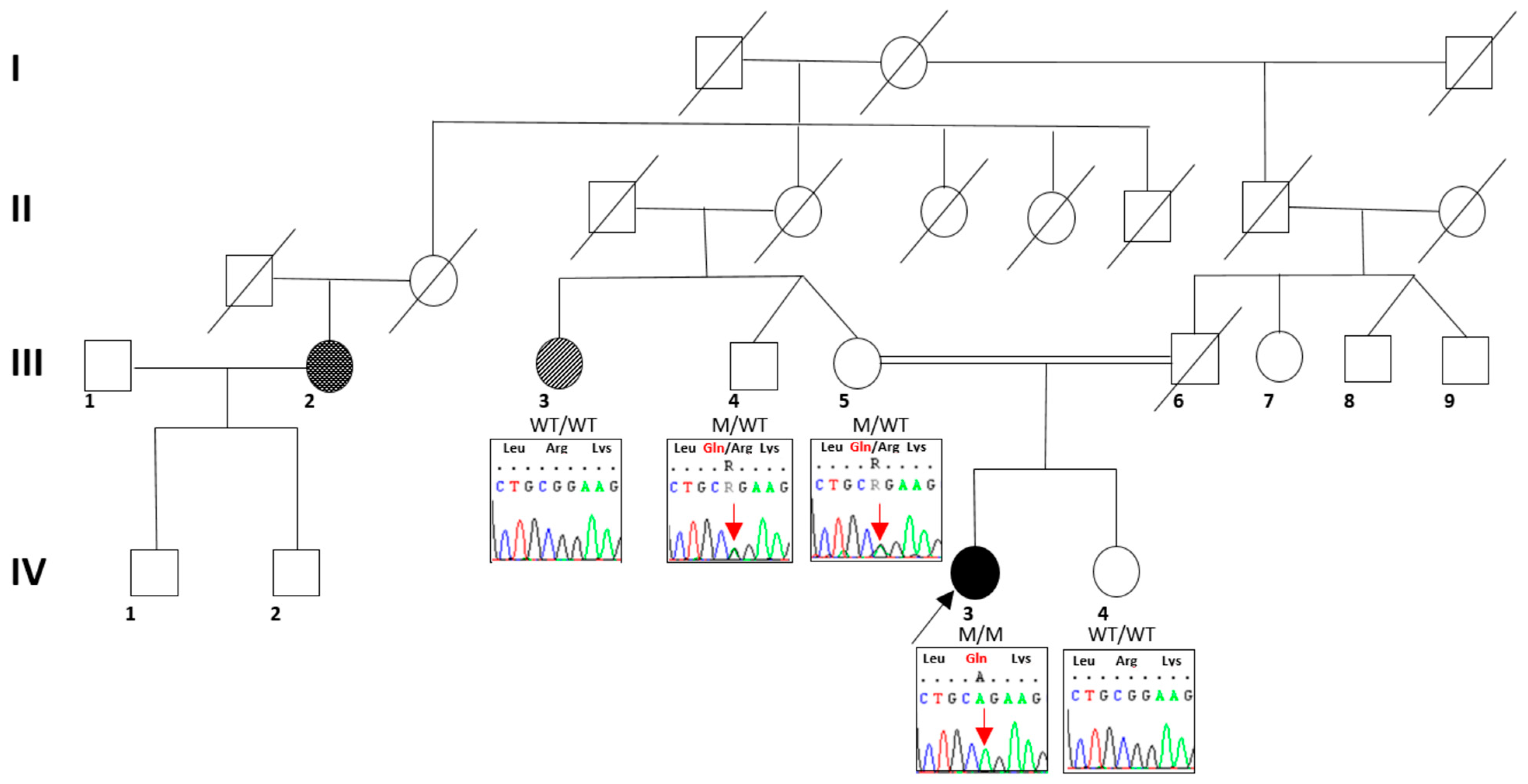 Ijms 24 12386 g004 Ijms 24 12386 g004