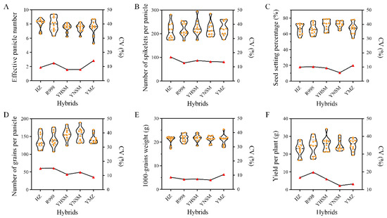 シュウ HXC-SAKURA #F00012 | Deviser ｜株式会社ディバイザー｜長野県