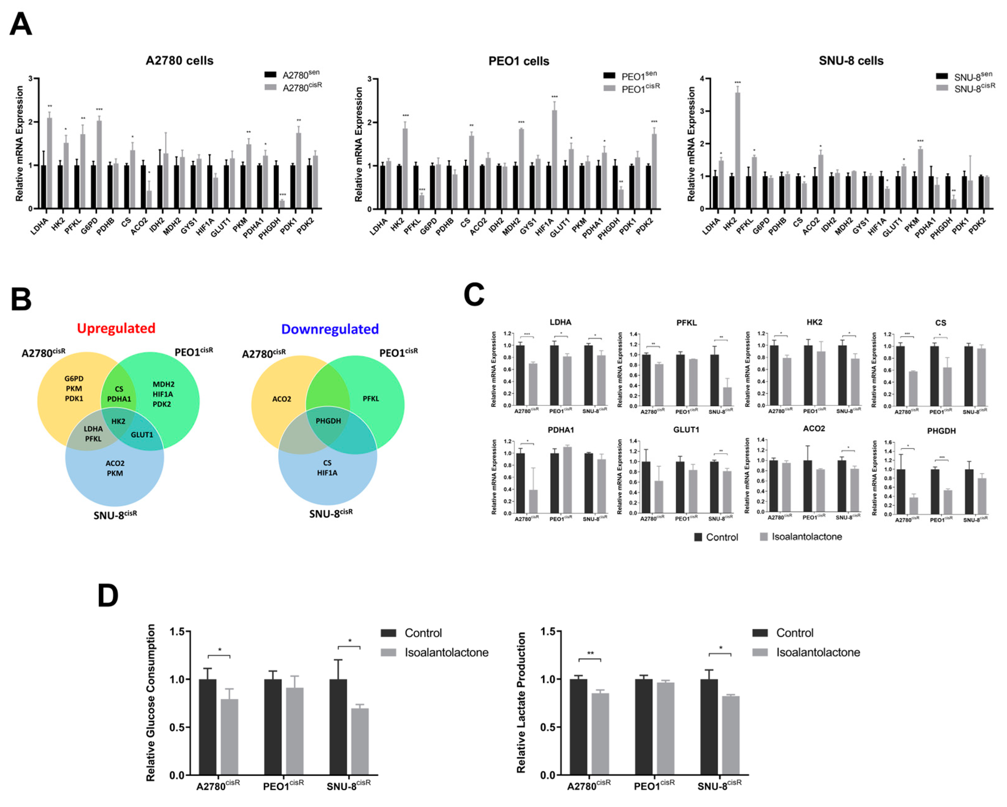 Ijms 24 12397 g002 Ijms 24 12397 g002