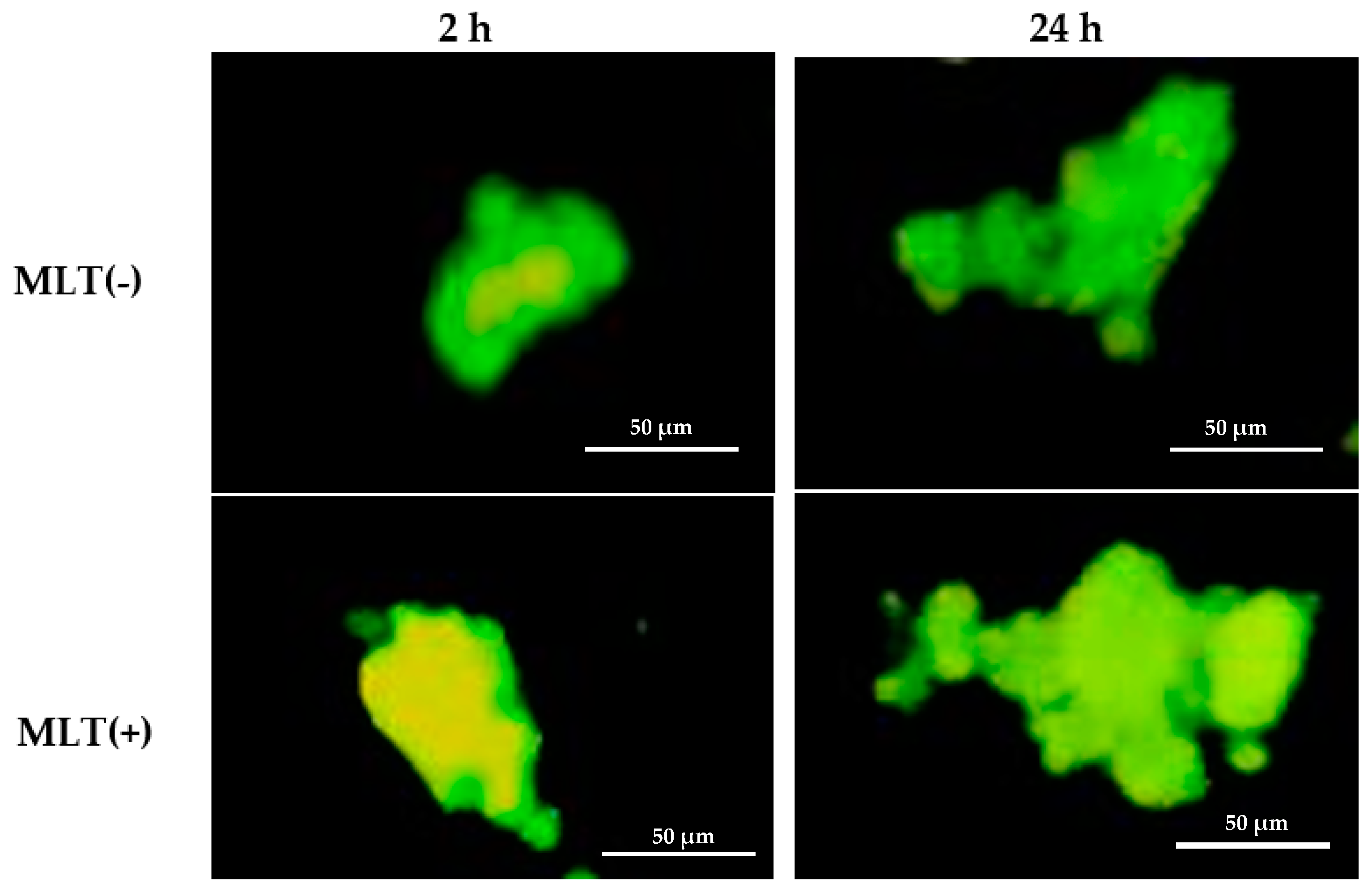 Ijms 24 12400 g001 Ijms 24 12400 g001