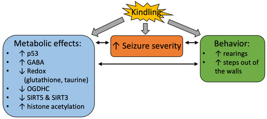 can acetyl-l-carnitine cause seizures Pentylenetetrazole-Induced Seizures Are Increased after Kindling,  Exhibiting Vitamin-Responsive Correlations to the Post-Seizures Behavior,  Amino Acids Metabolism and Key Metabolic Regulators in the Rat Brain