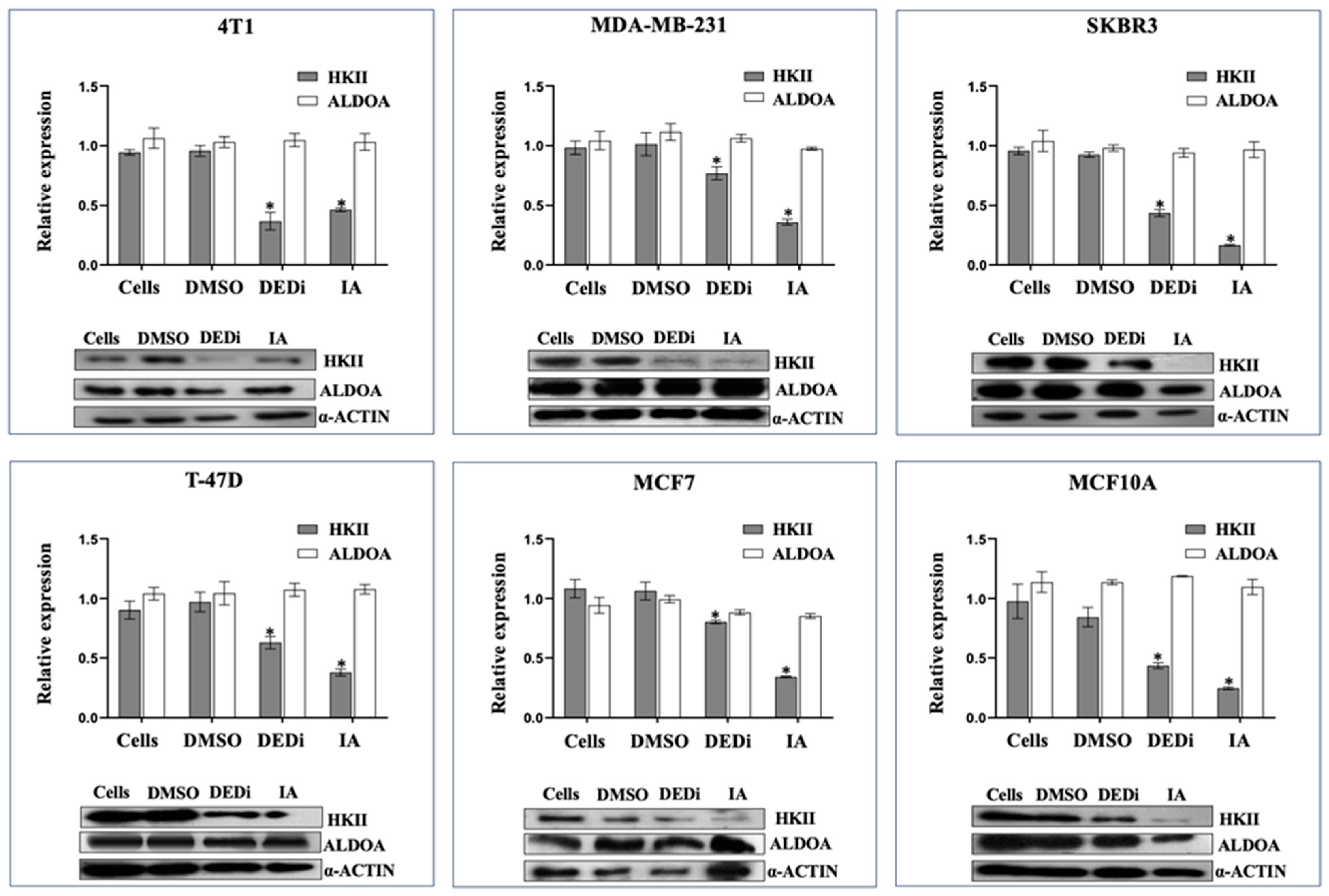 Ijms 24 12406 g003 Ijms 24 12406 g003