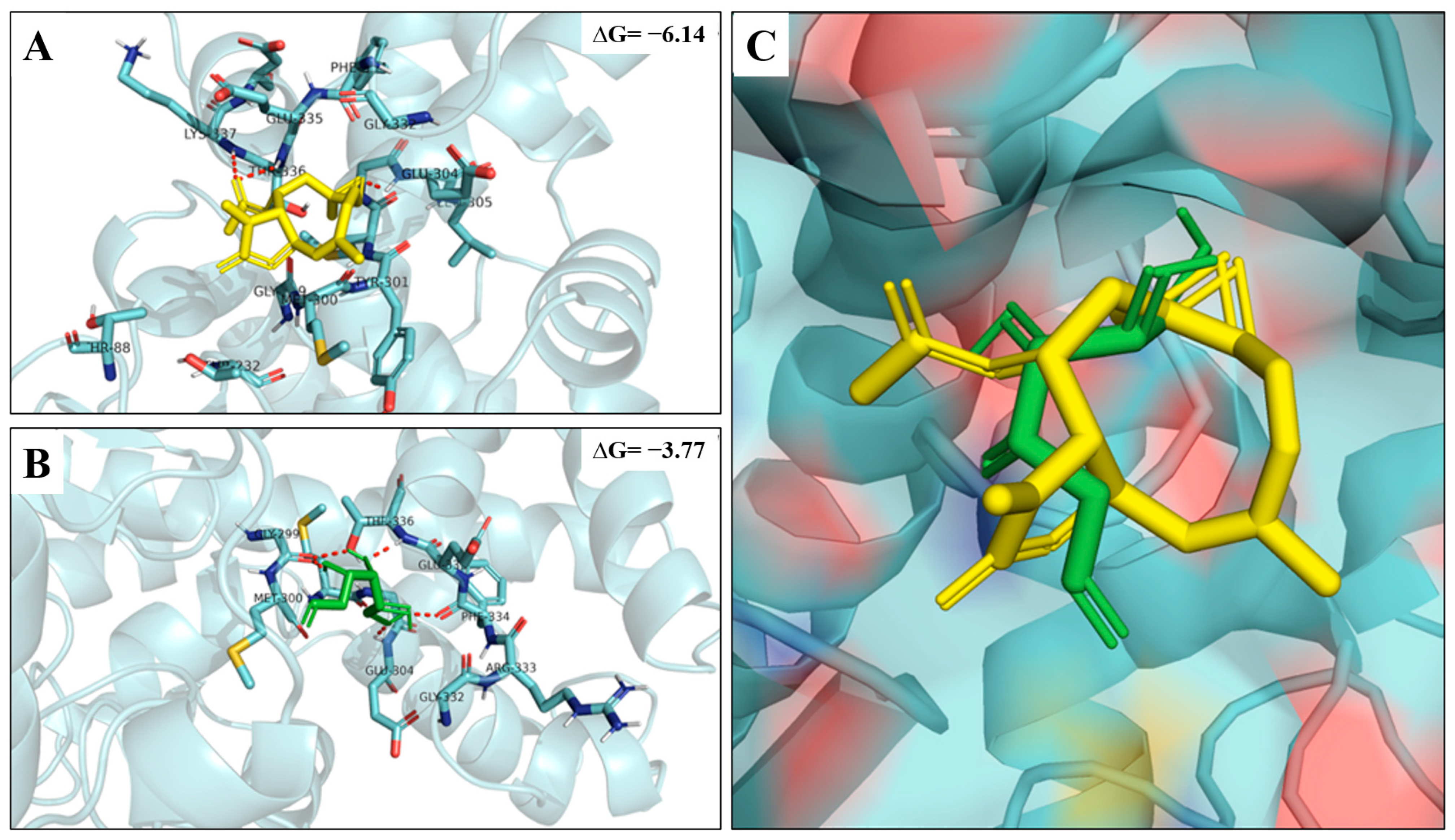 Ijms 24 12406 g004 Ijms 24 12406 g004