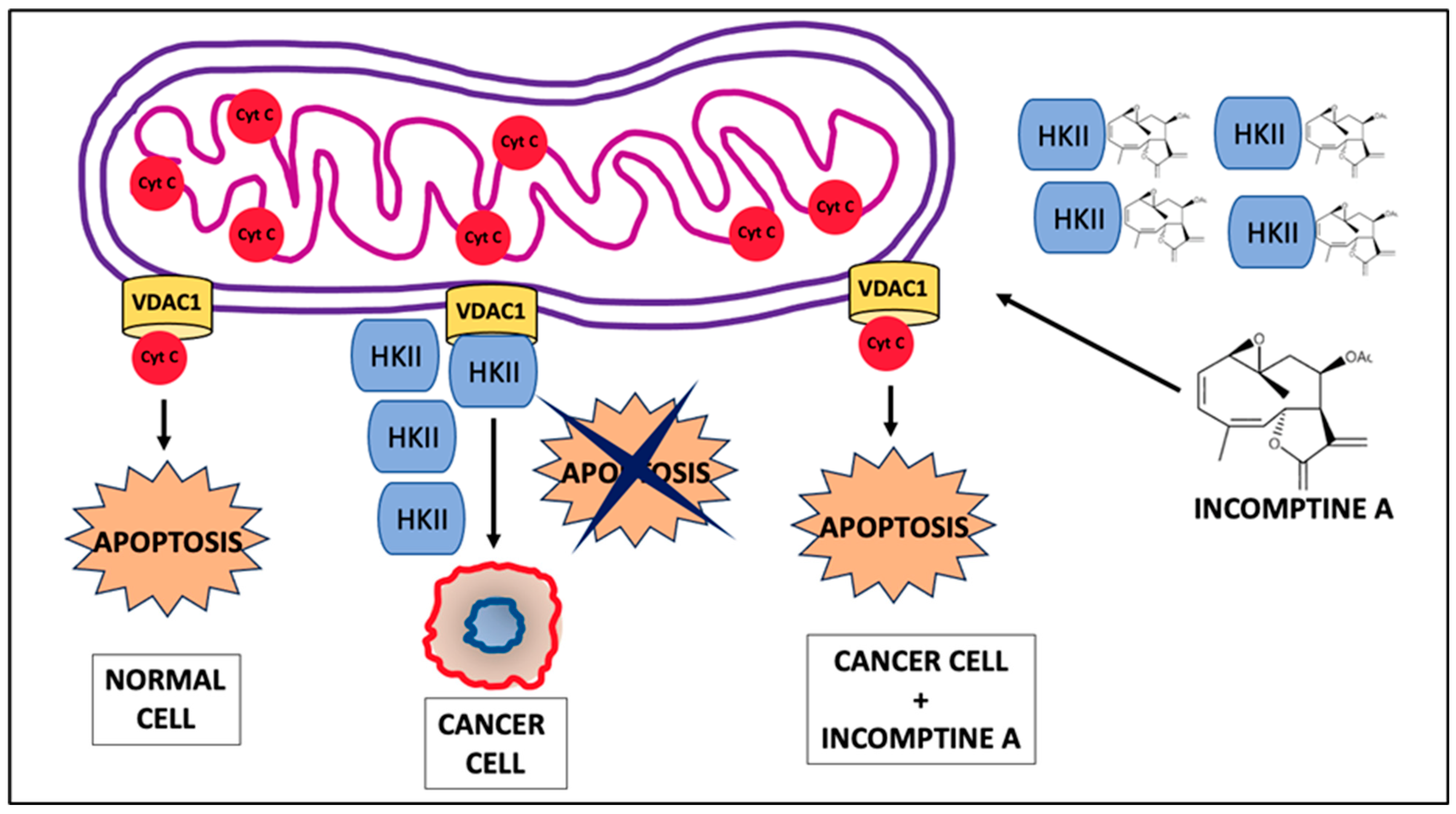Ijms 24 12406 g005 Ijms 24 12406 g005