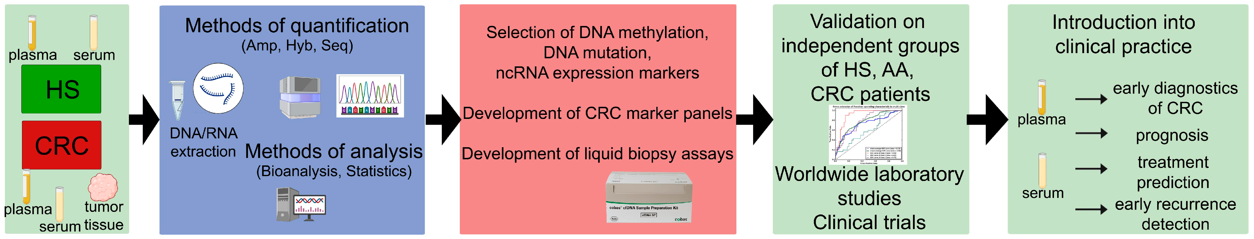 Ijms 24 12407 g001 Ijms 24 12407 g001