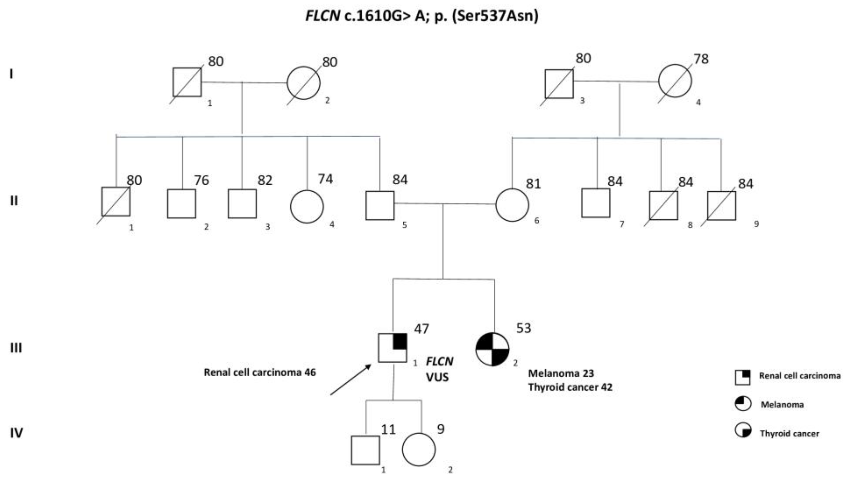 Ijms 24 12418 g001 Ijms 24 12418 g001