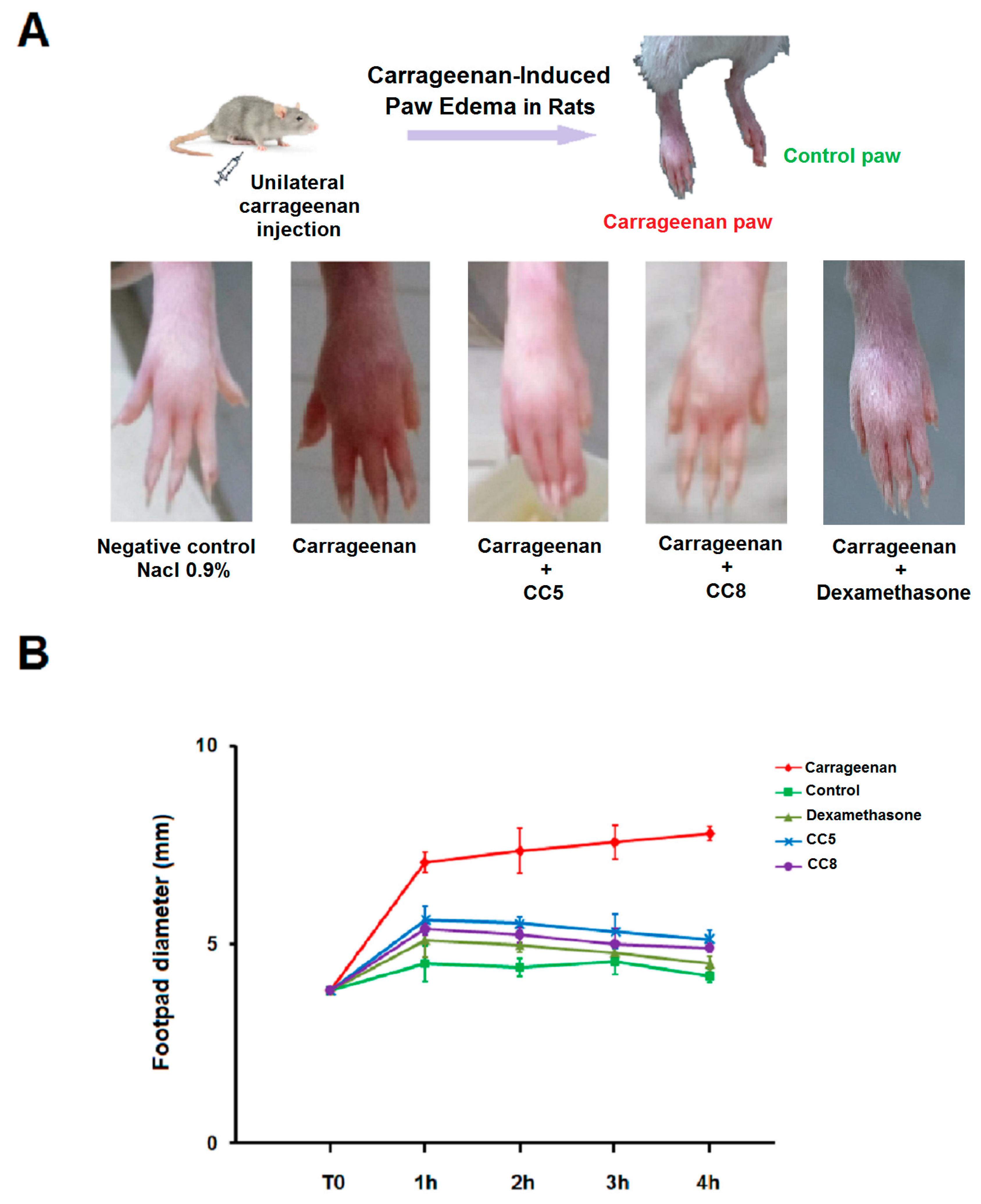 Ijms 24 12427 g007 Ijms 24 12427 g007