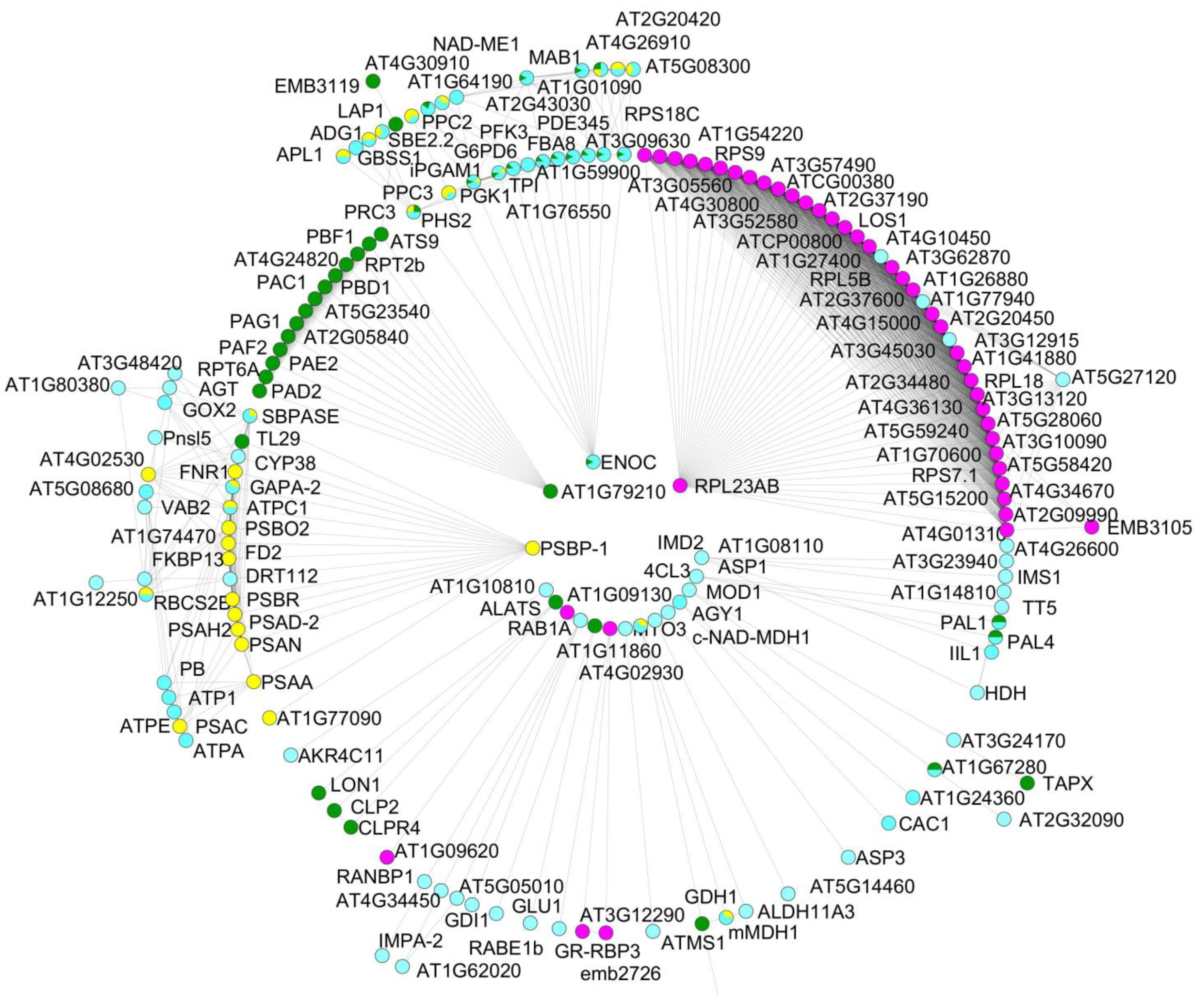 Ijms 24 12429 g001 Ijms 24 12429 g001