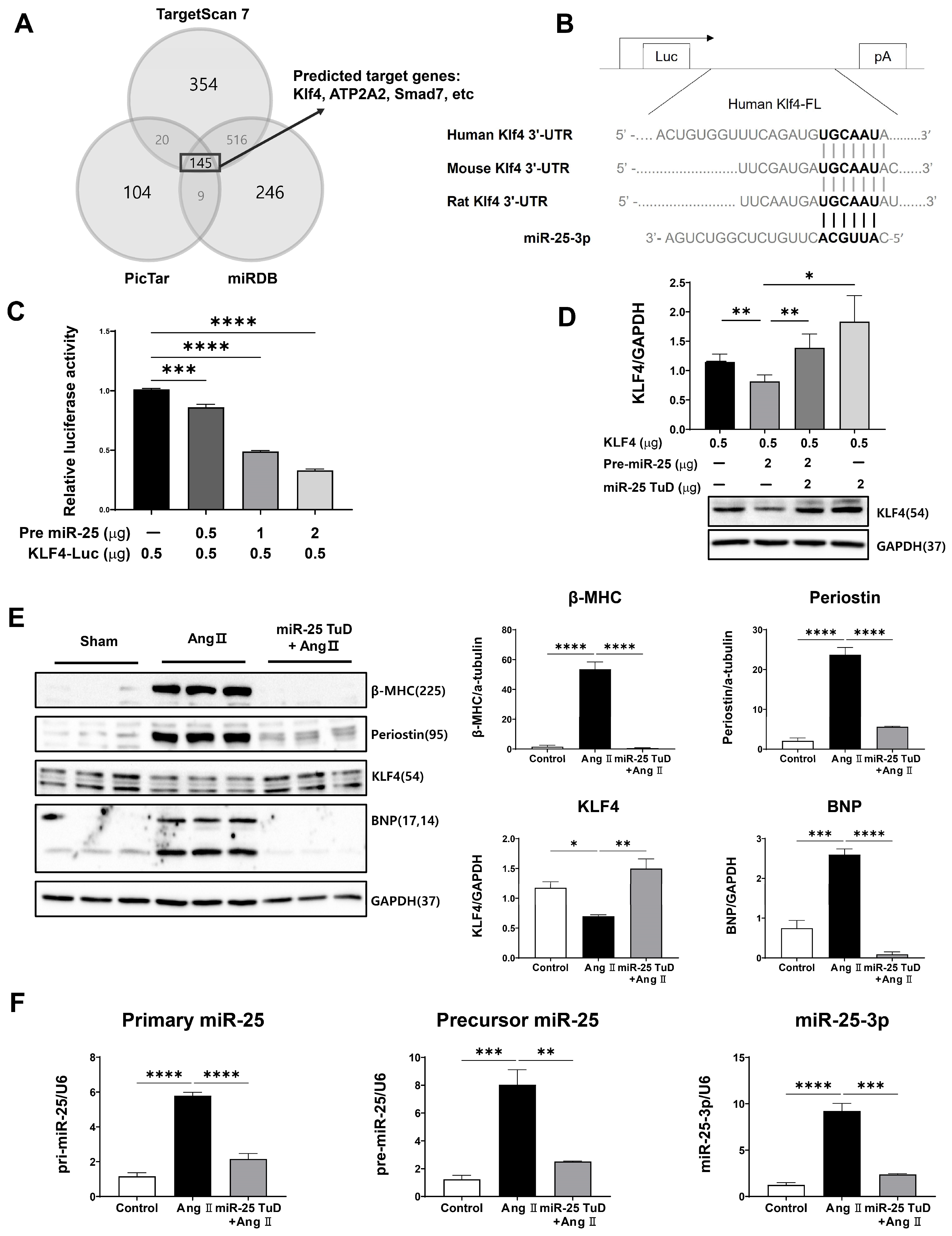 Ijms 24 12434 g001 Ijms 24 12434 g001