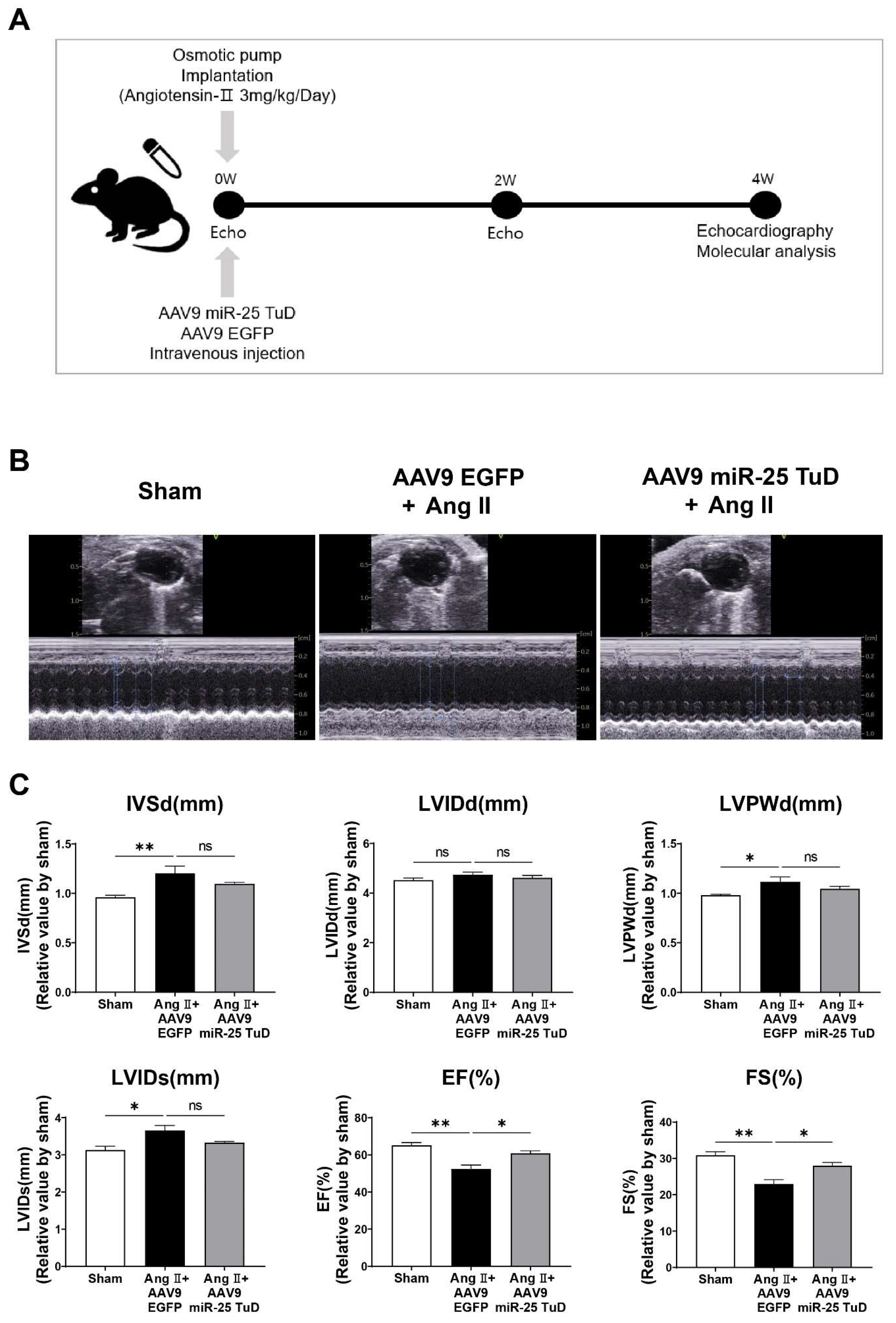 Ijms 24 12434 g002 Ijms 24 12434 g002