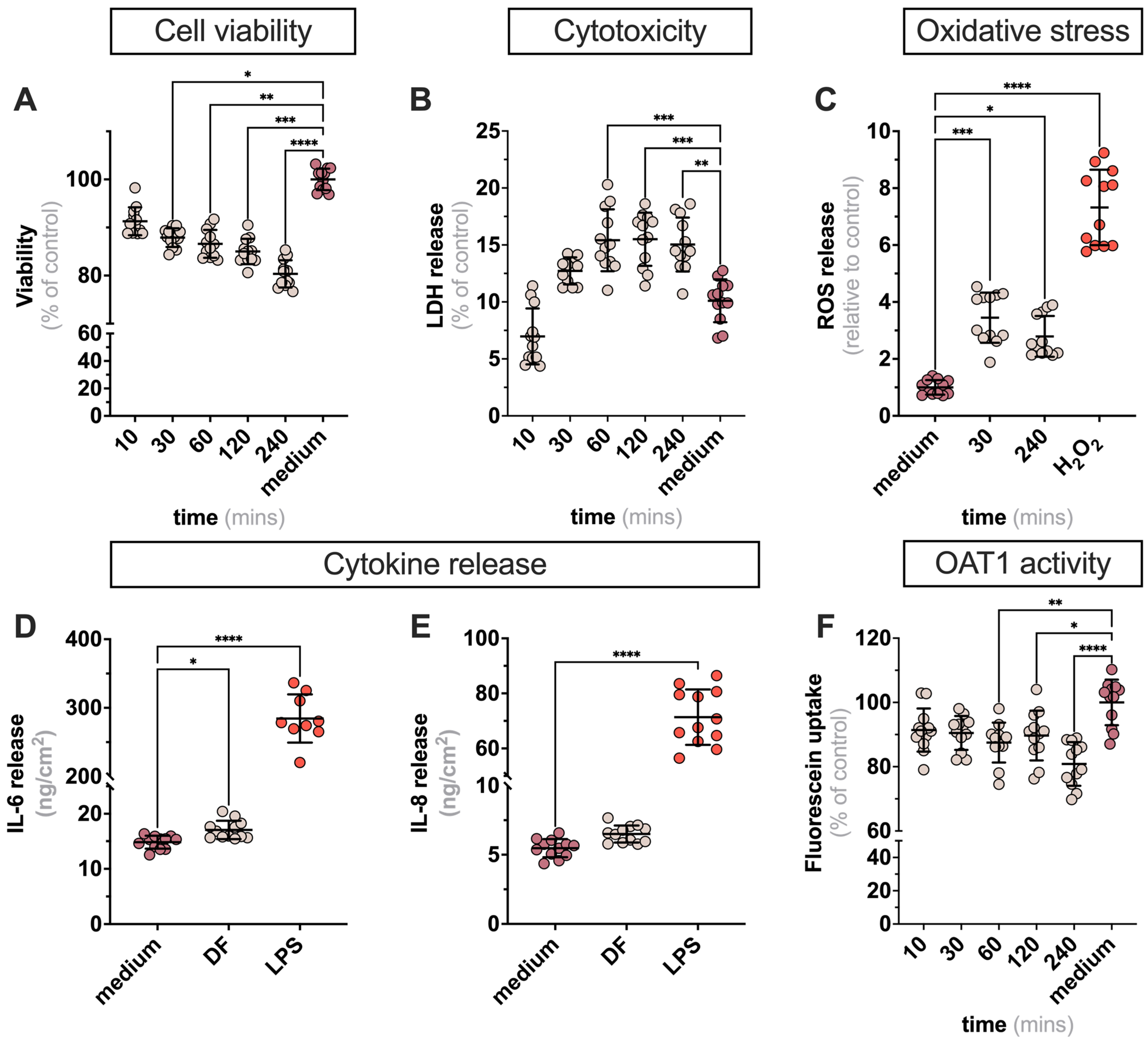 Ijms 24 12435 g001 Ijms 24 12435 g001