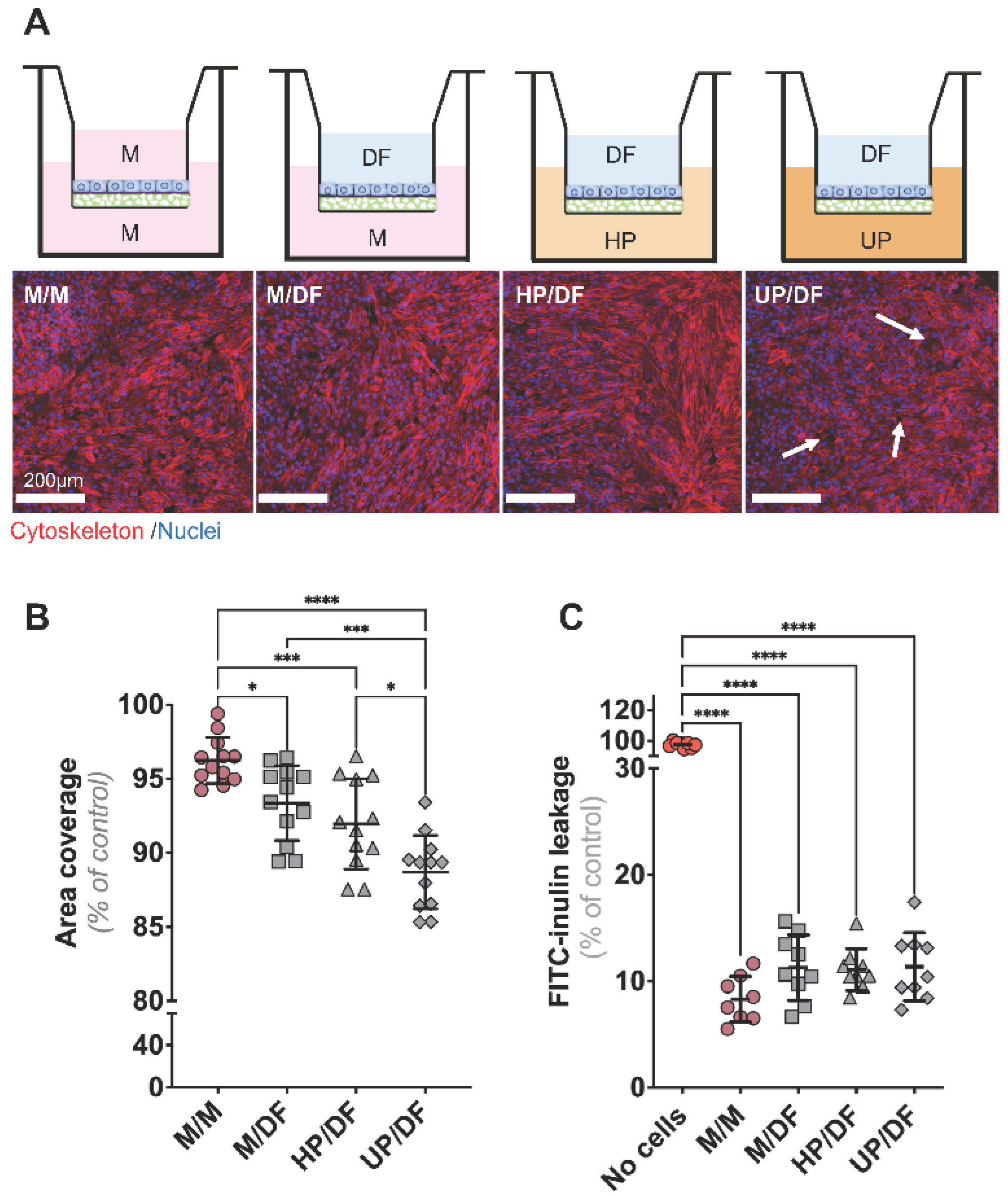 Ijms 24 12435 g002 Ijms 24 12435 g002